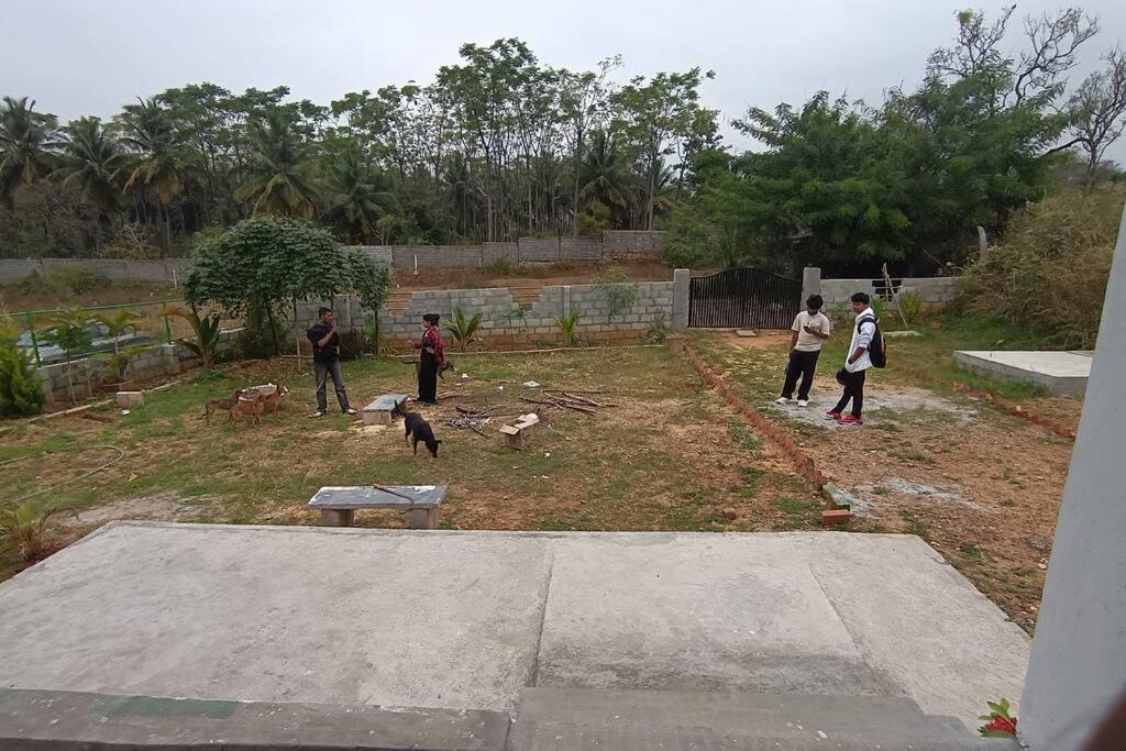 Photo 13