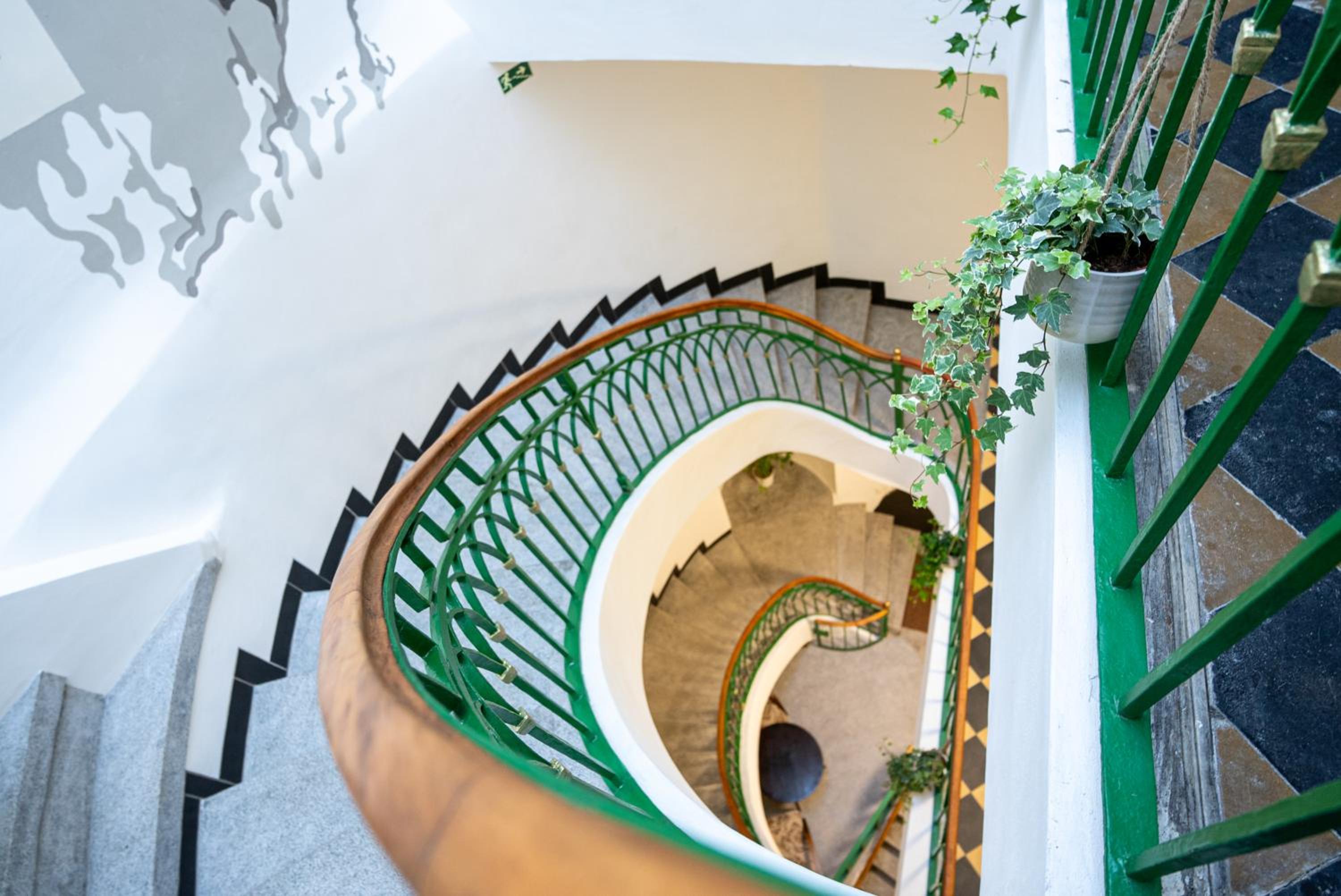 White Wolf House Hostel & Apartments