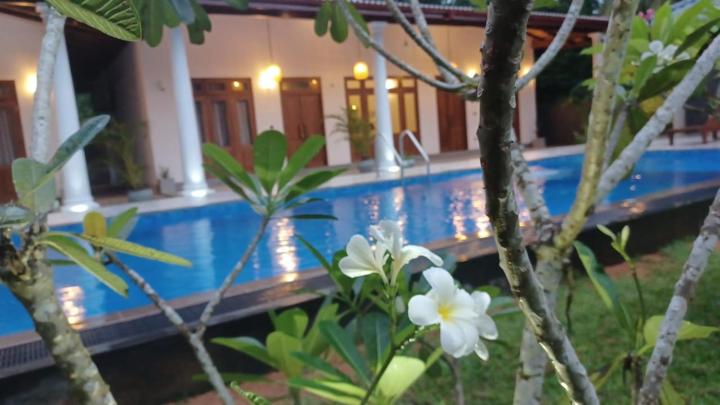 Summer Heritage Villa
