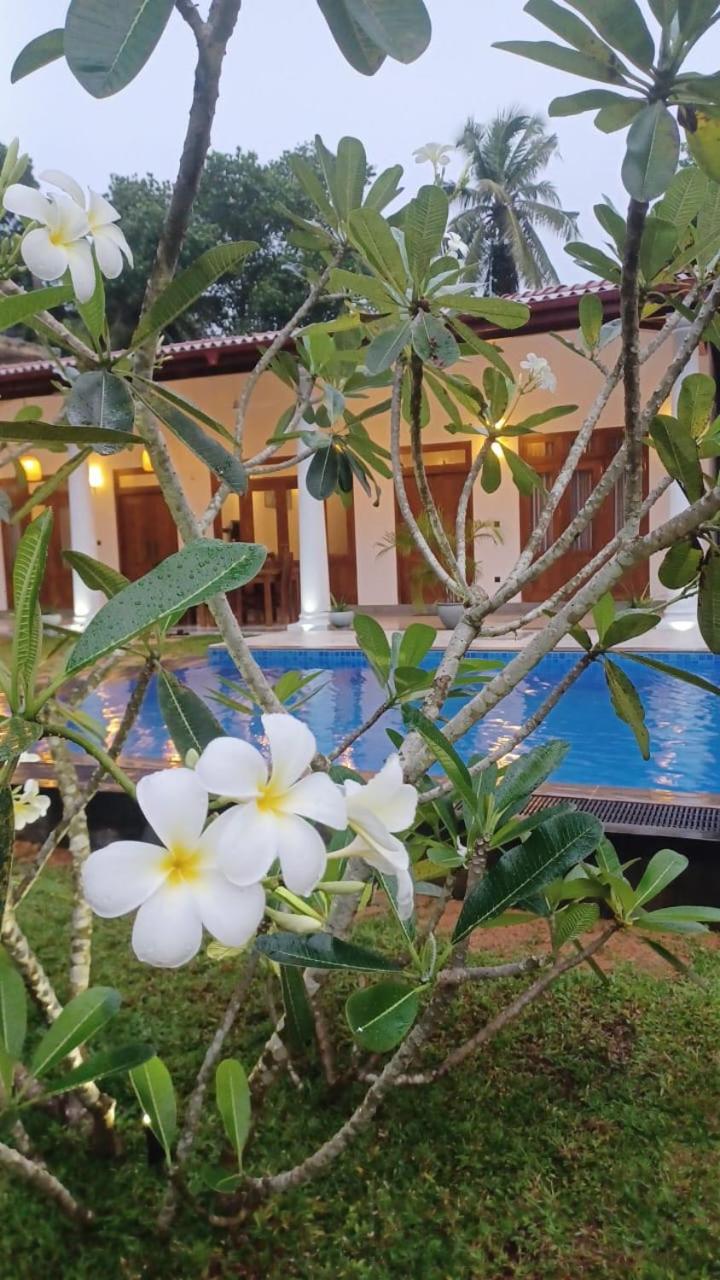 Summer Heritage Villa