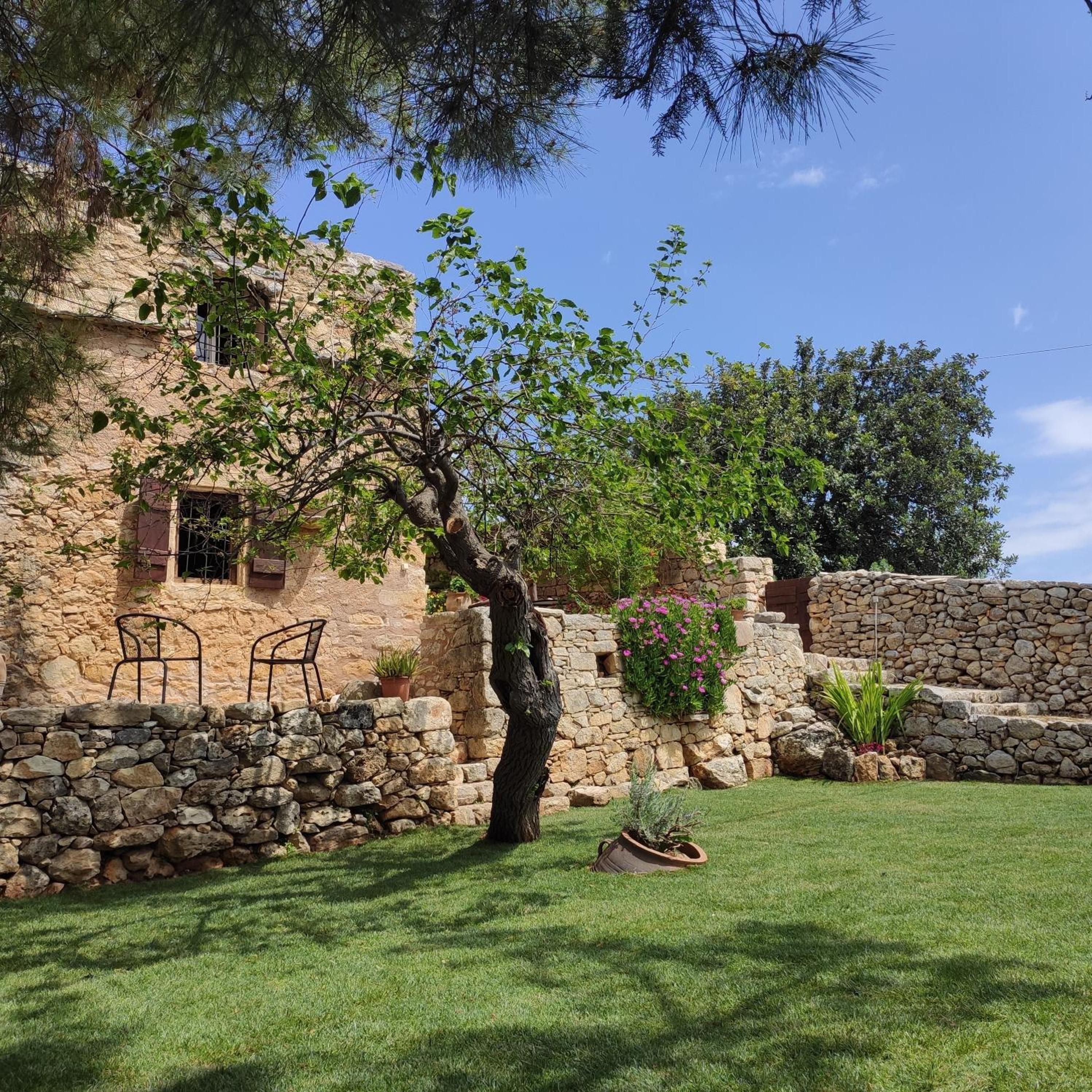 Photo 23