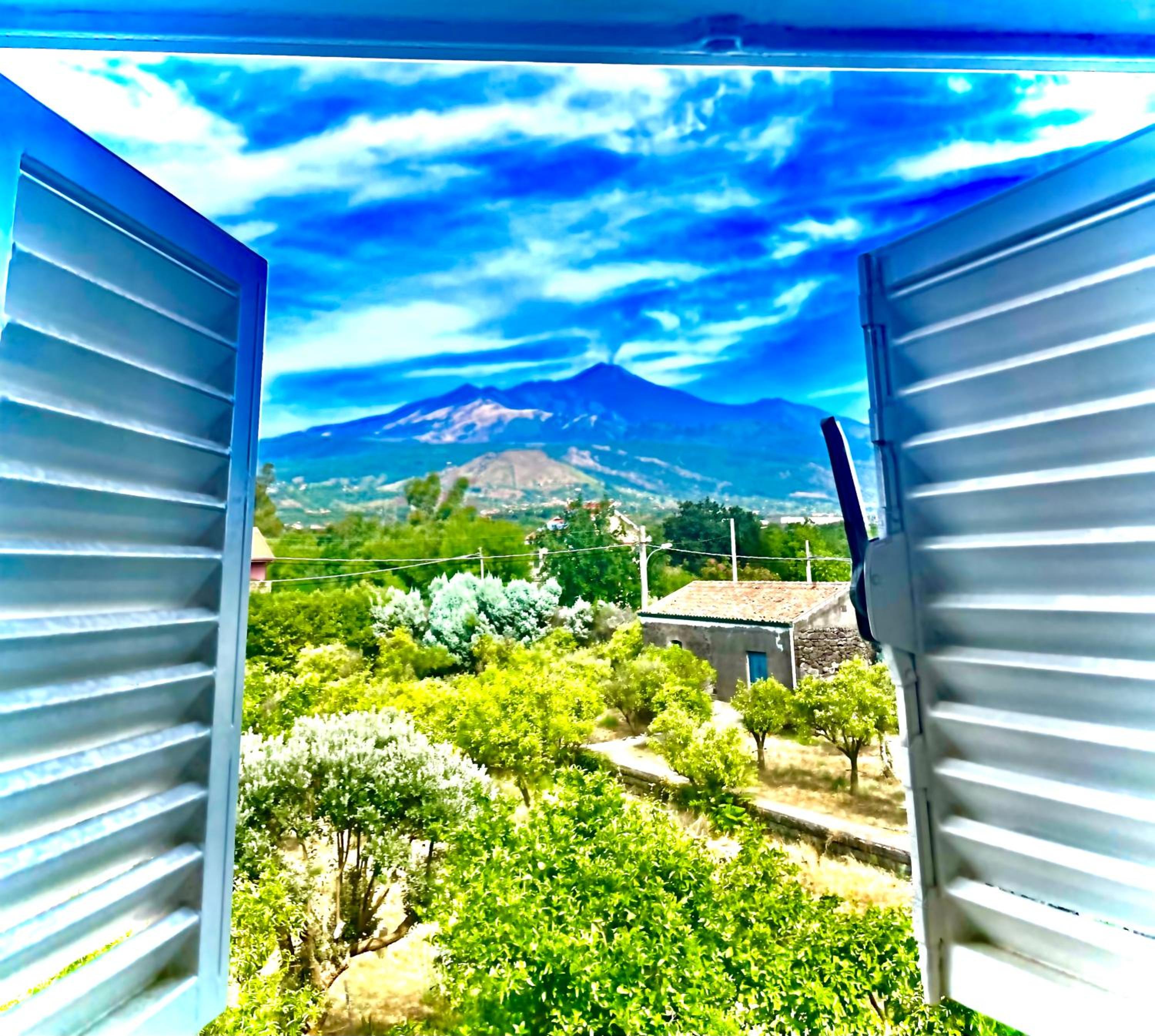 Linden House Etna photo 4