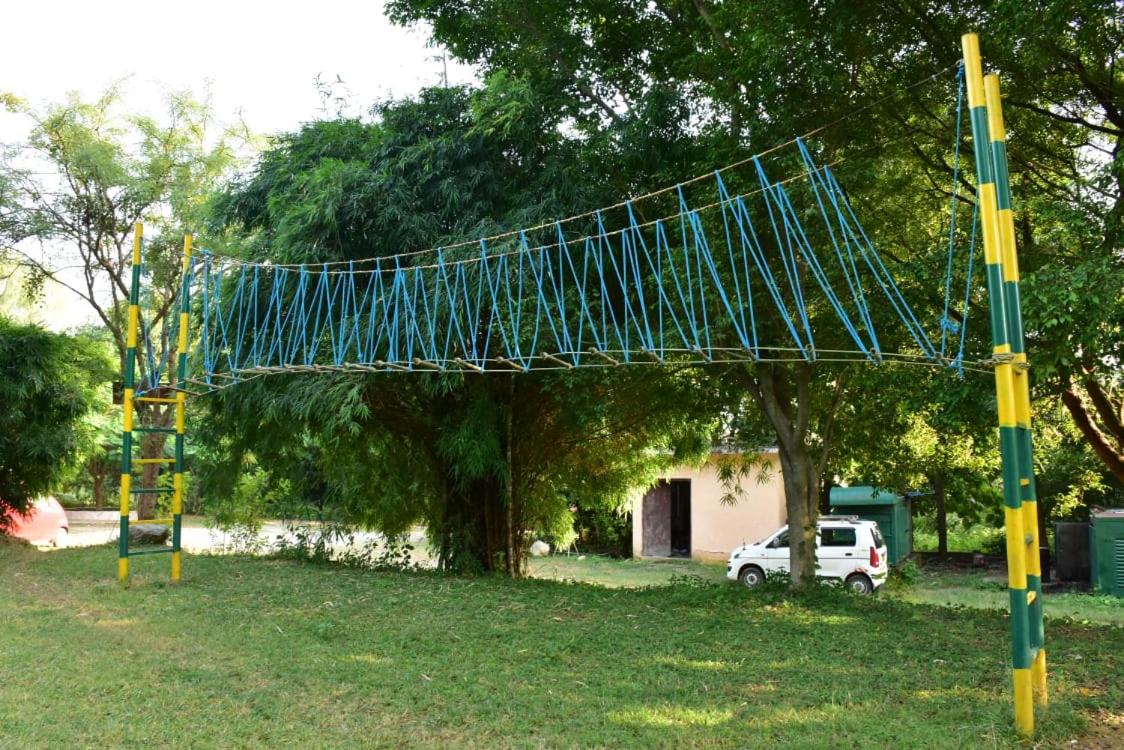 Photo 16