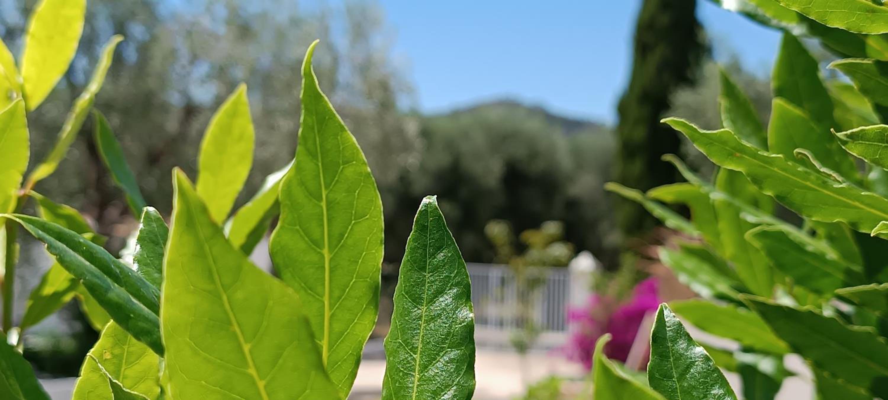 B&B Sperlonga, photo 16