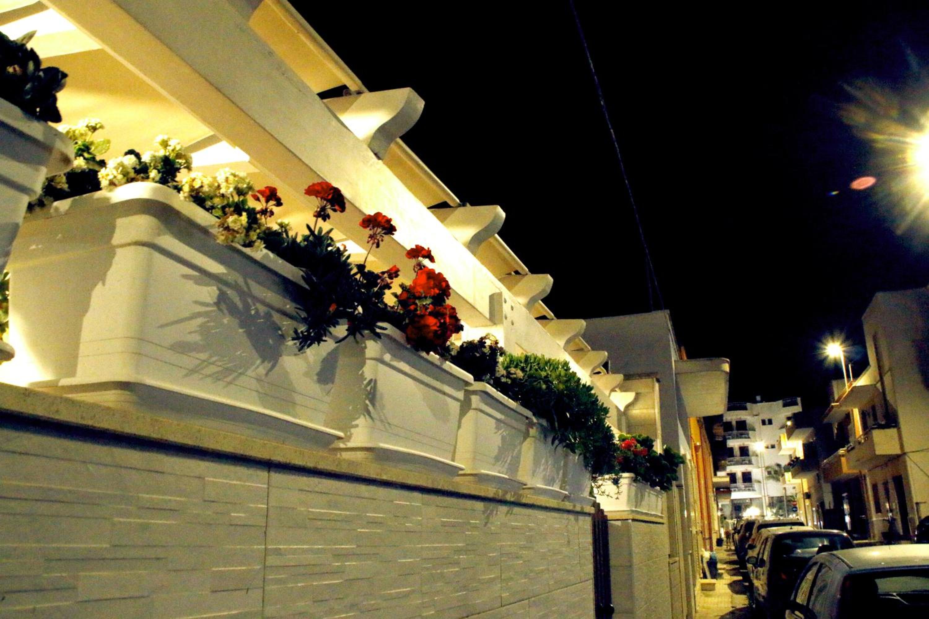 Stella Marina