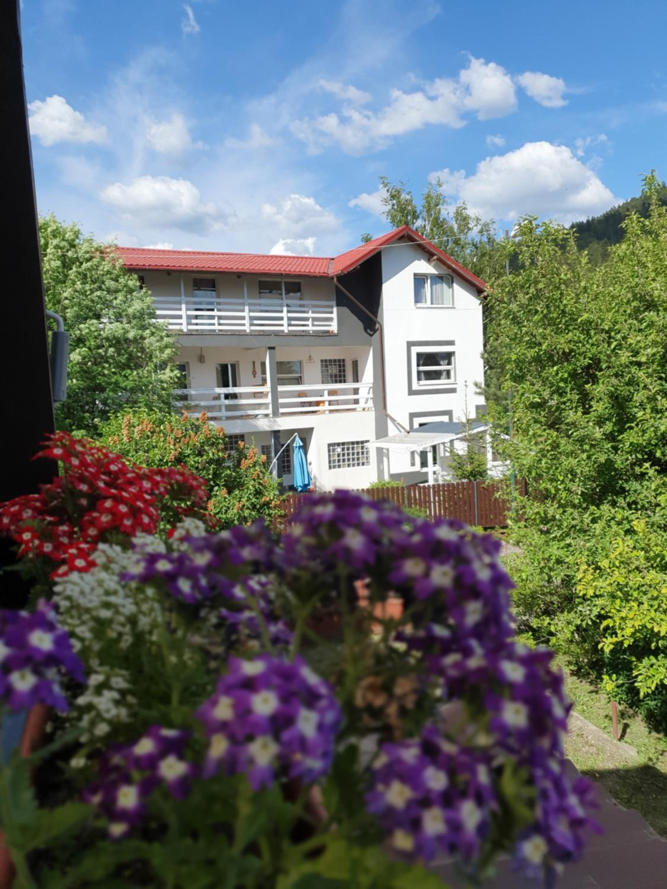 Casa David view 2