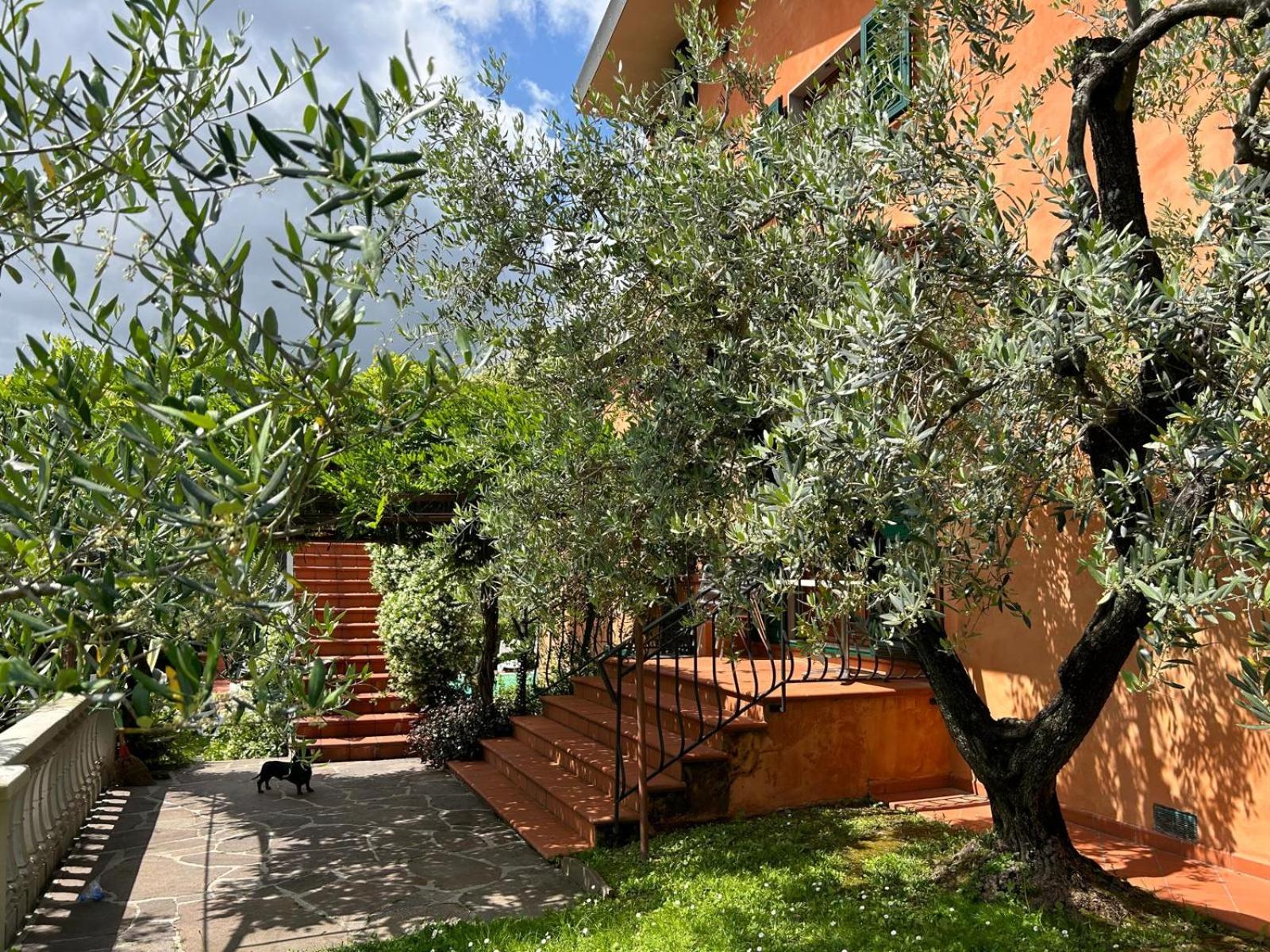 Le Quattro Stagioni view 4