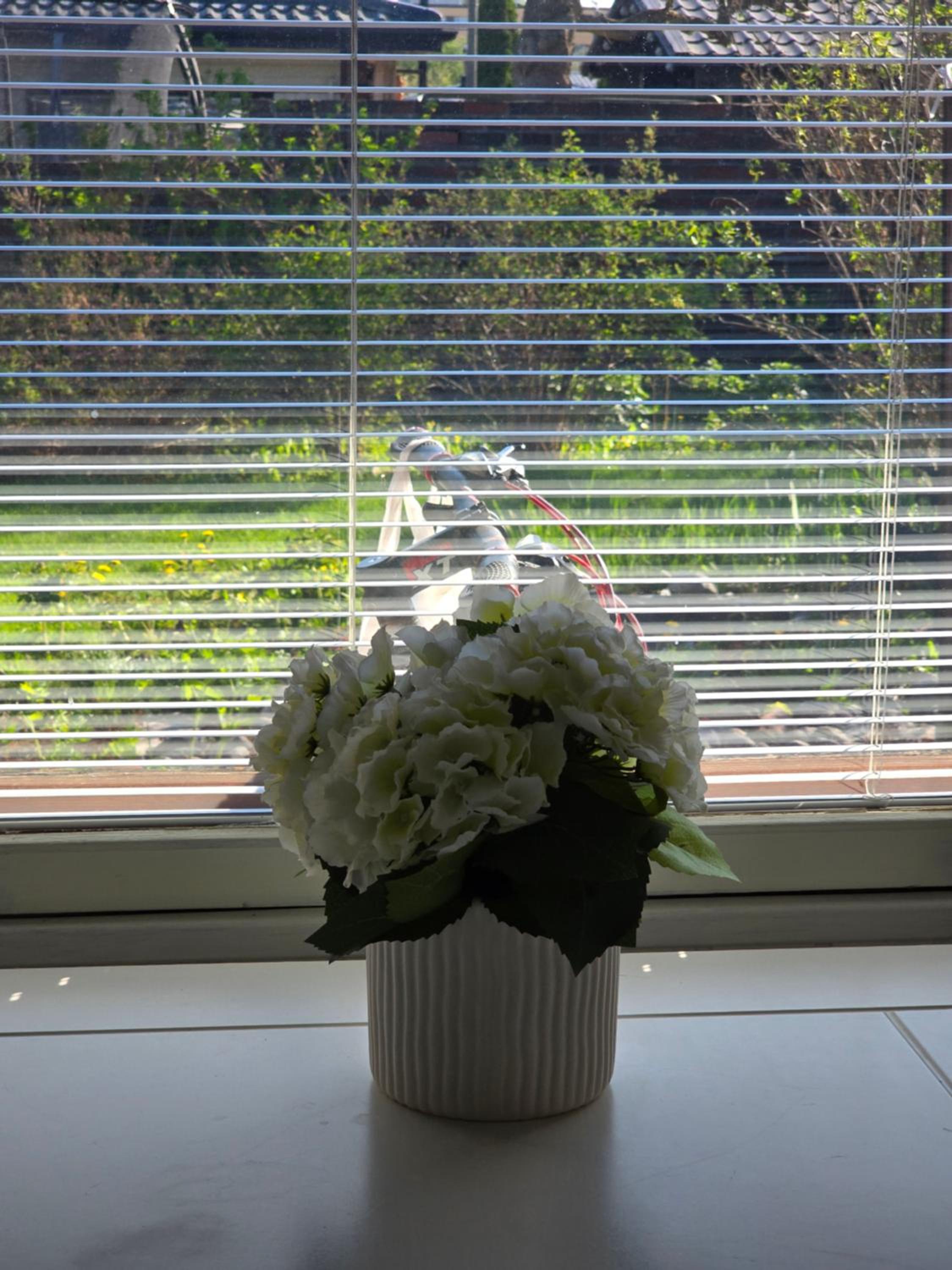 Photo 45