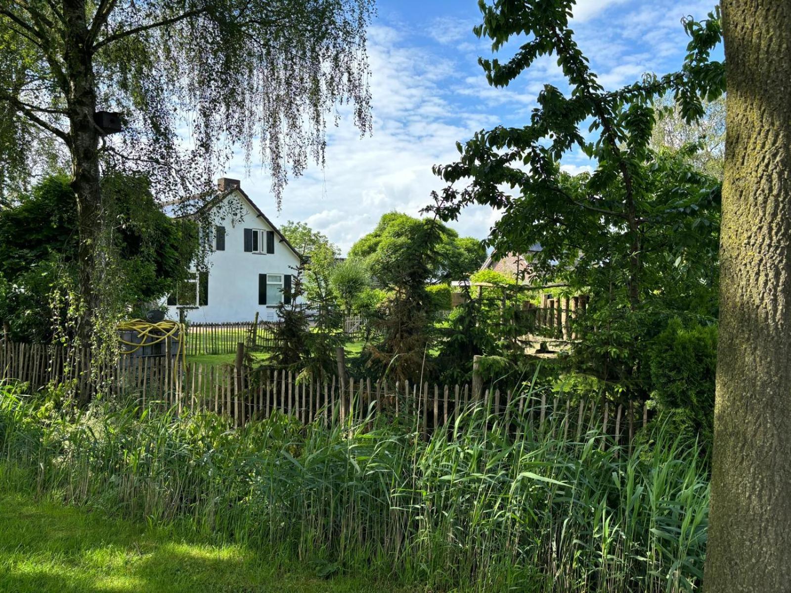 De Hazeldonck view 3