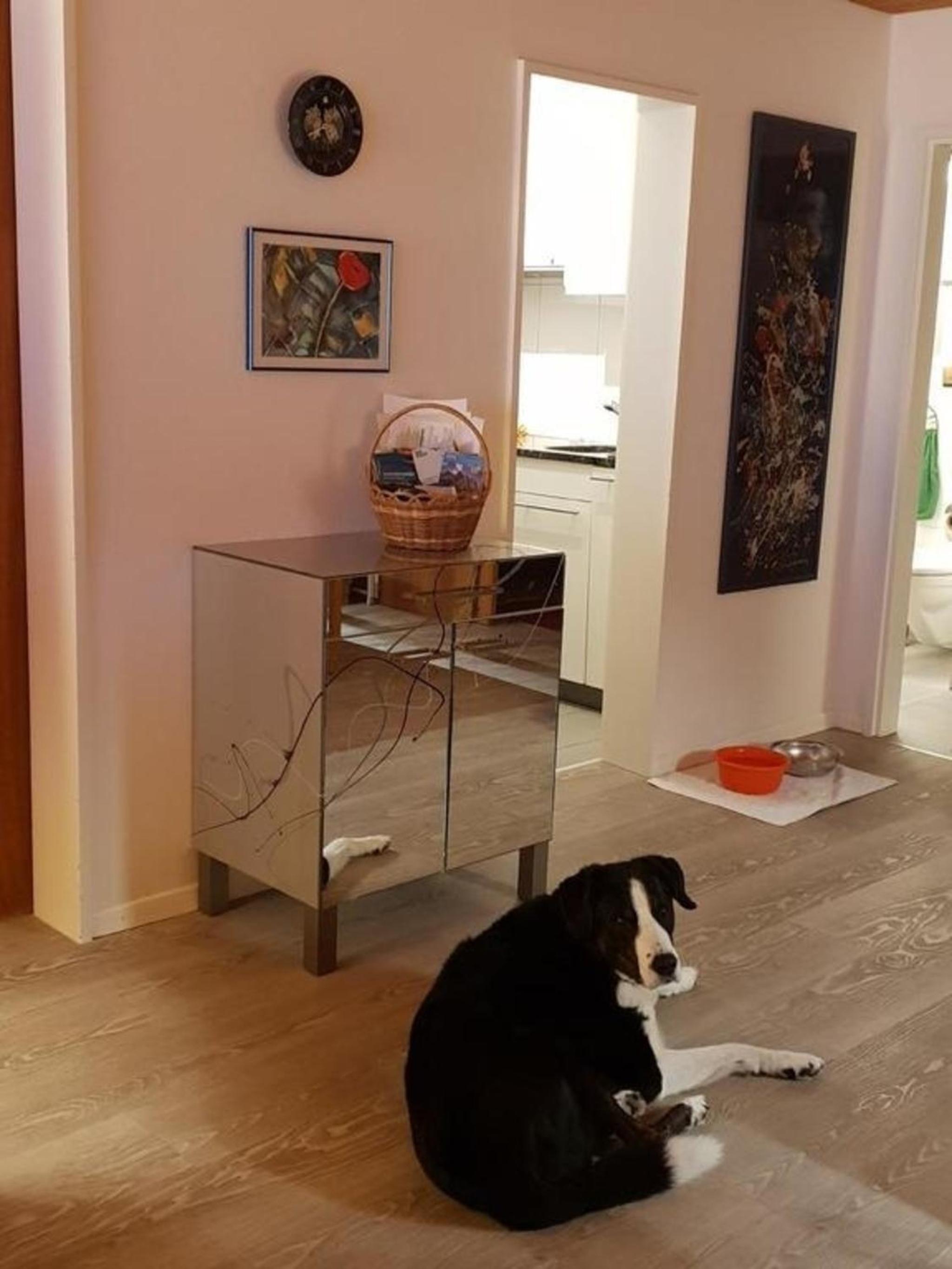 2 12 Zimmer Familienwohnung