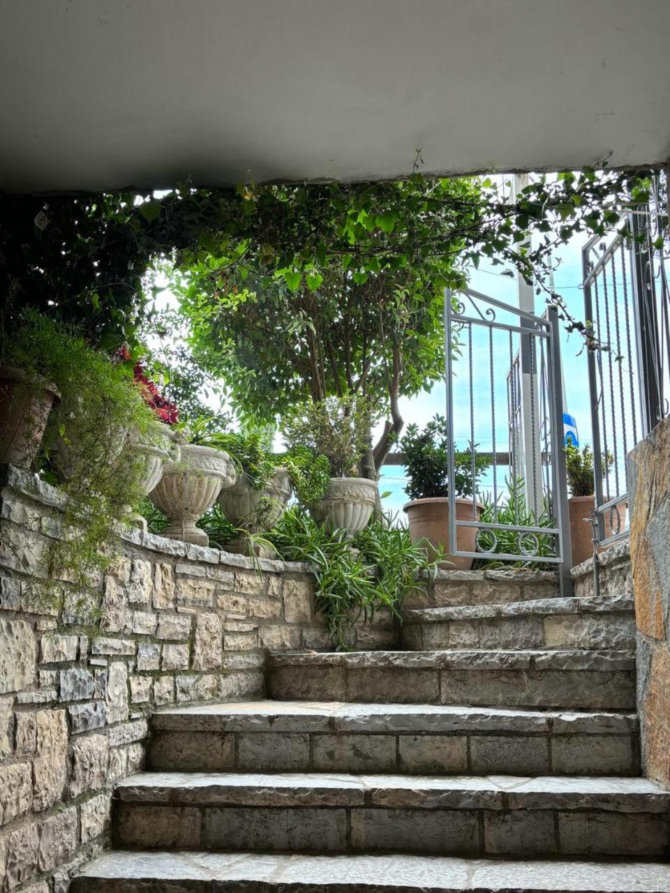 Guest House Adi Hoxha