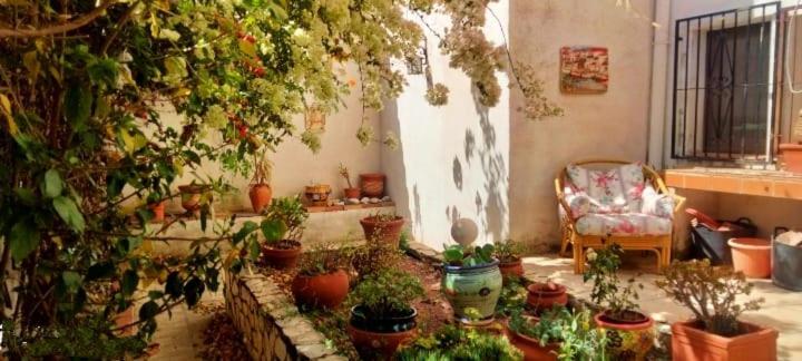 Casa Paradís