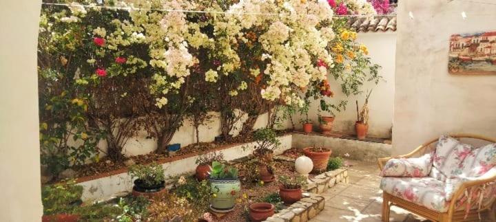 Casa Paradís