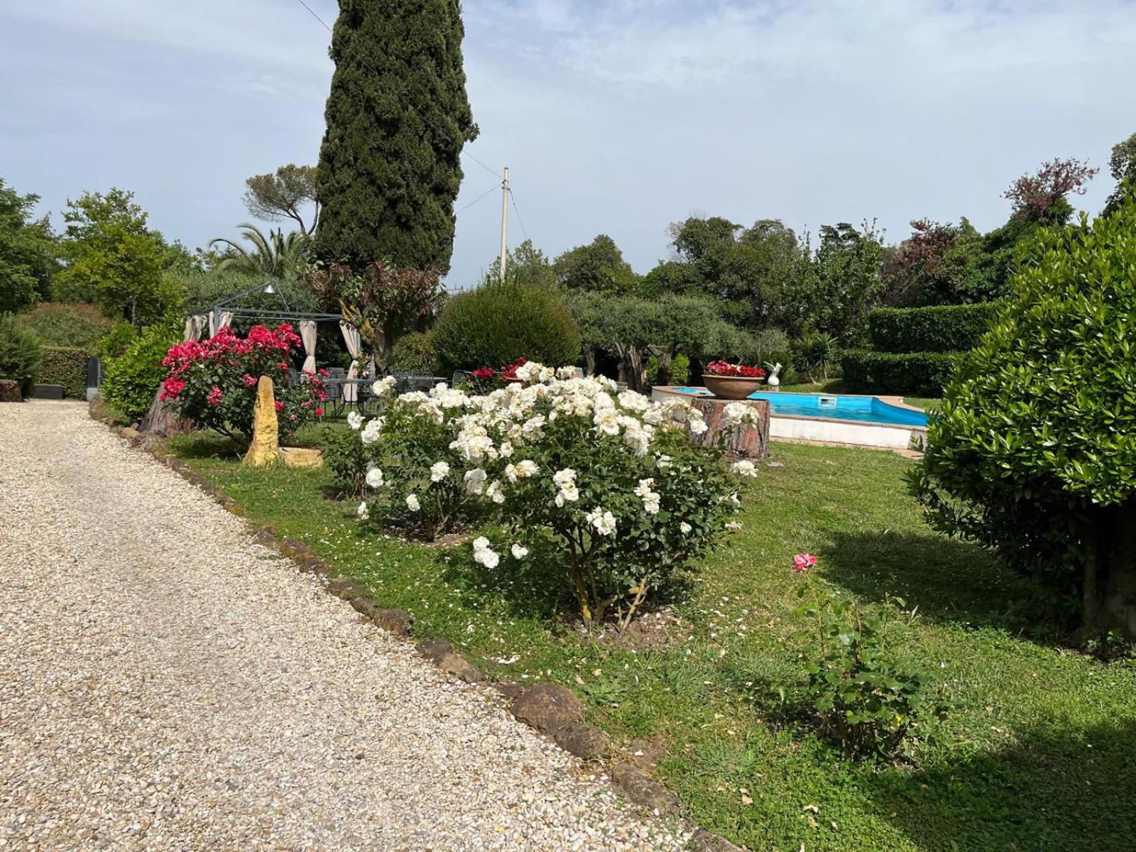 Loft Appia Antica Donna Eugenia photo 3