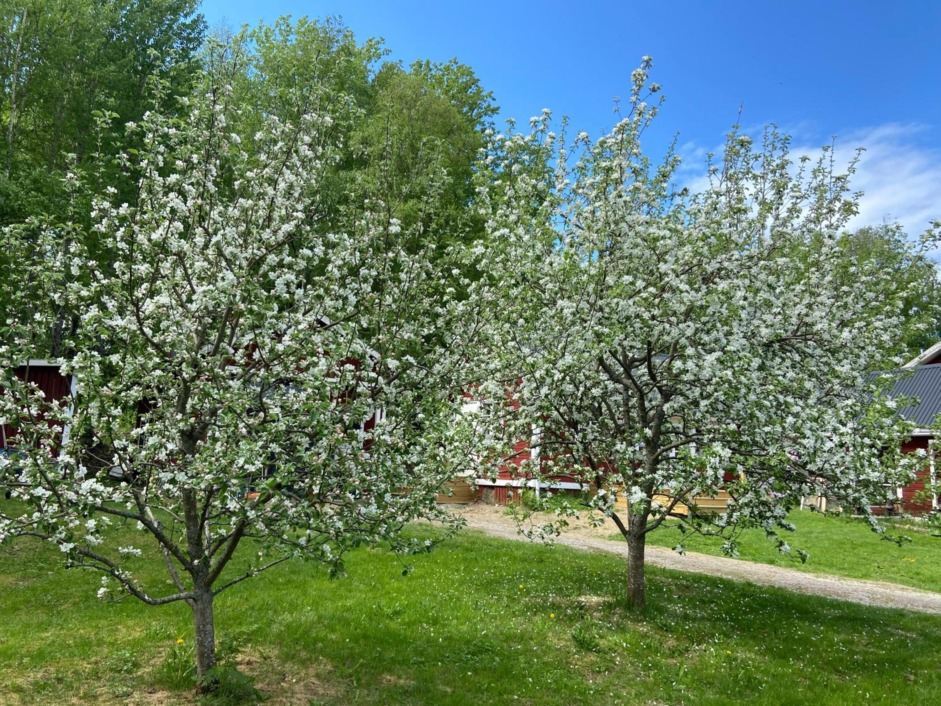 Järvsöstugan