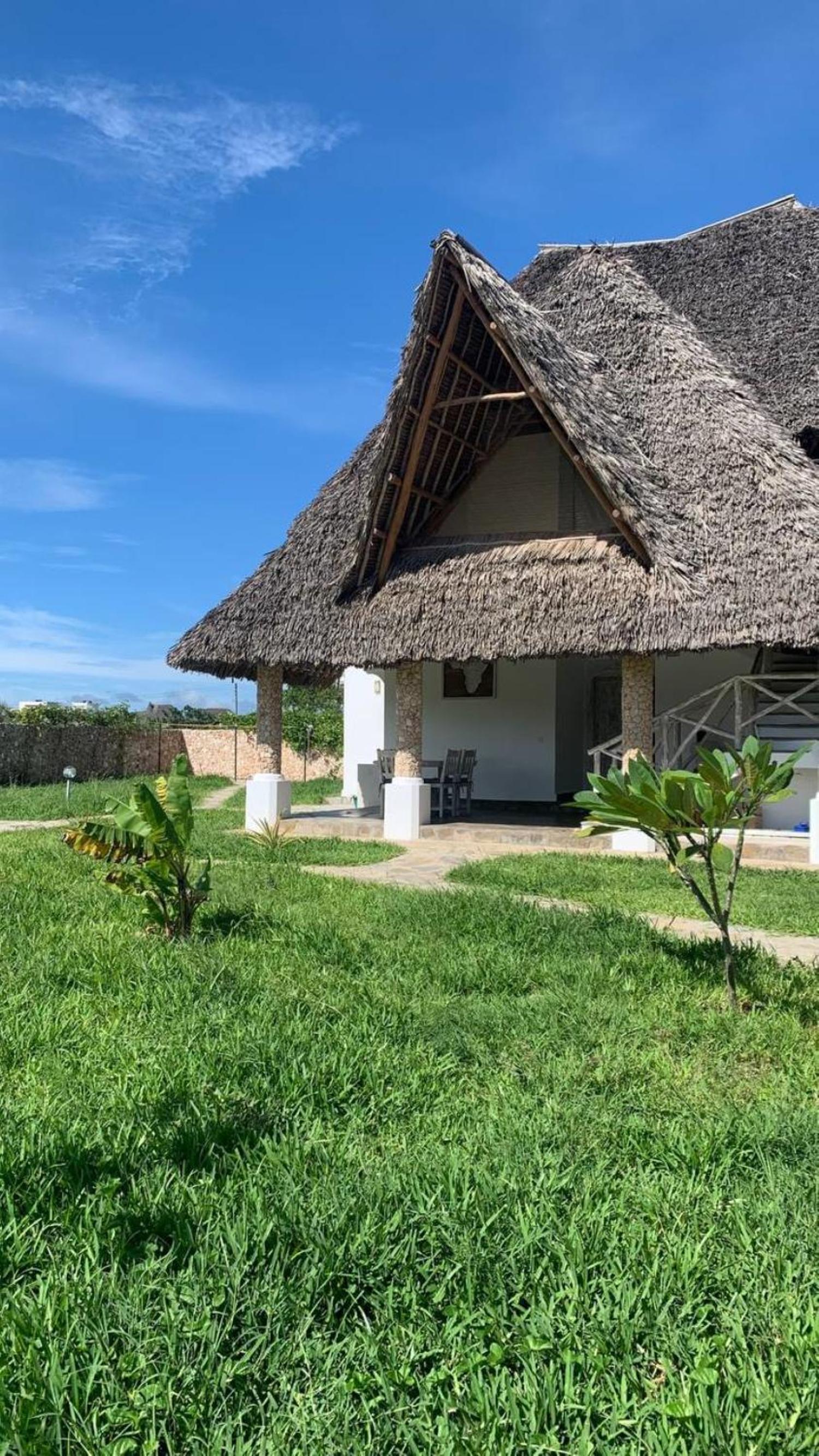 Nyuso za Afrika view 3