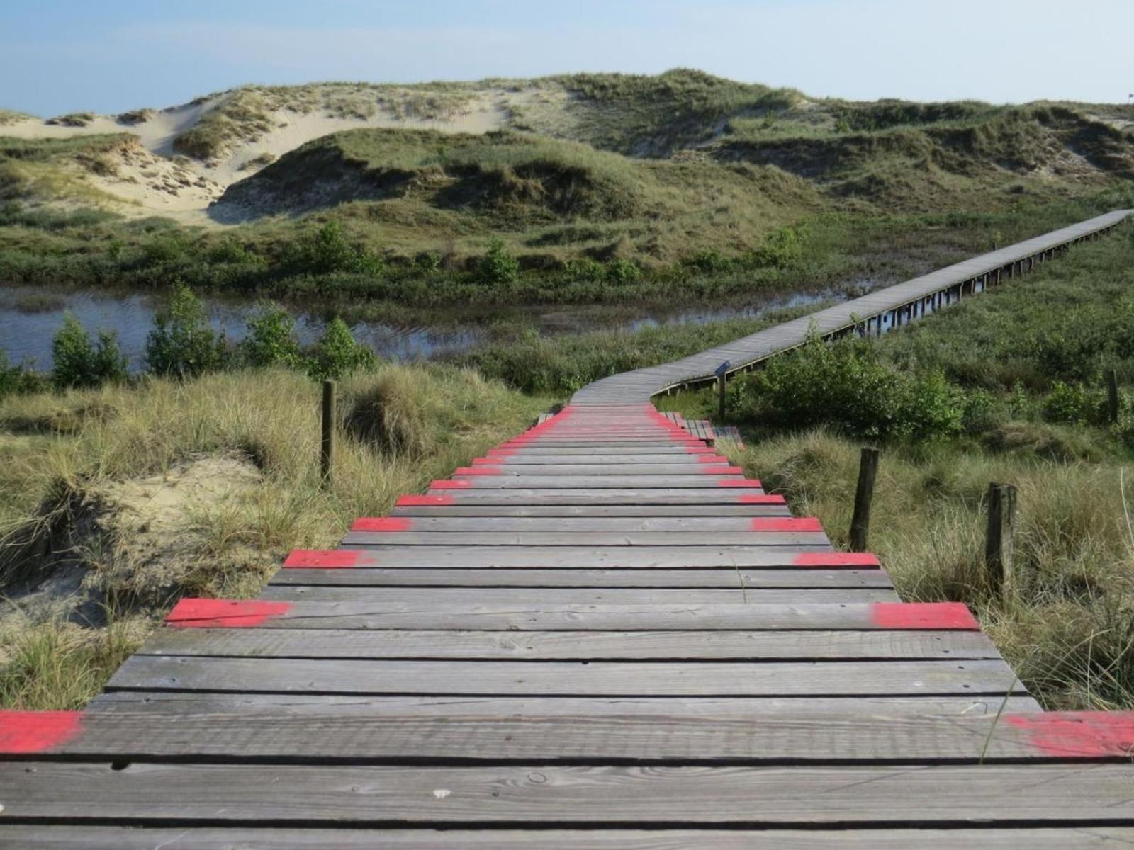 Duenem-Kniep-OG-re