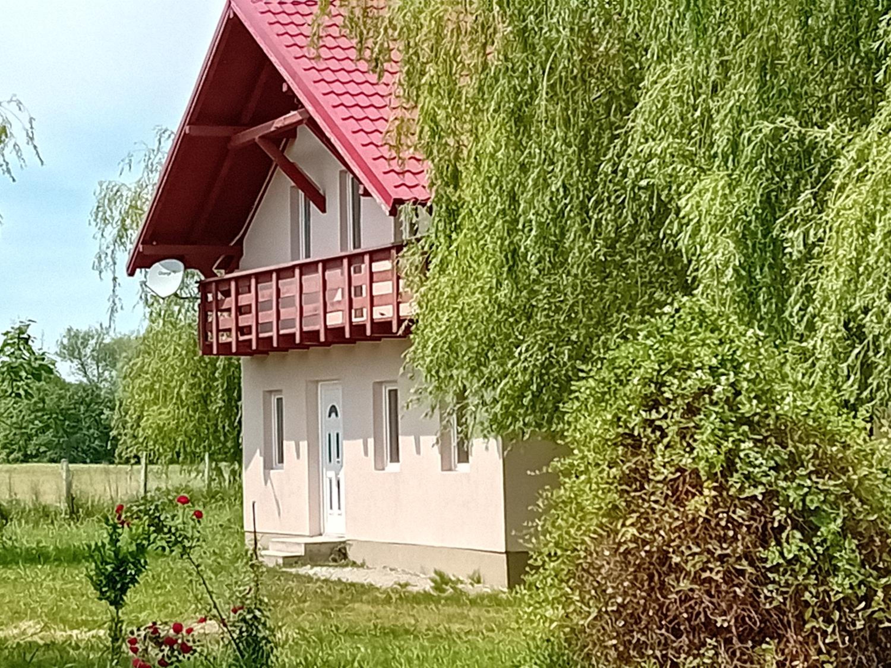 Photo 11