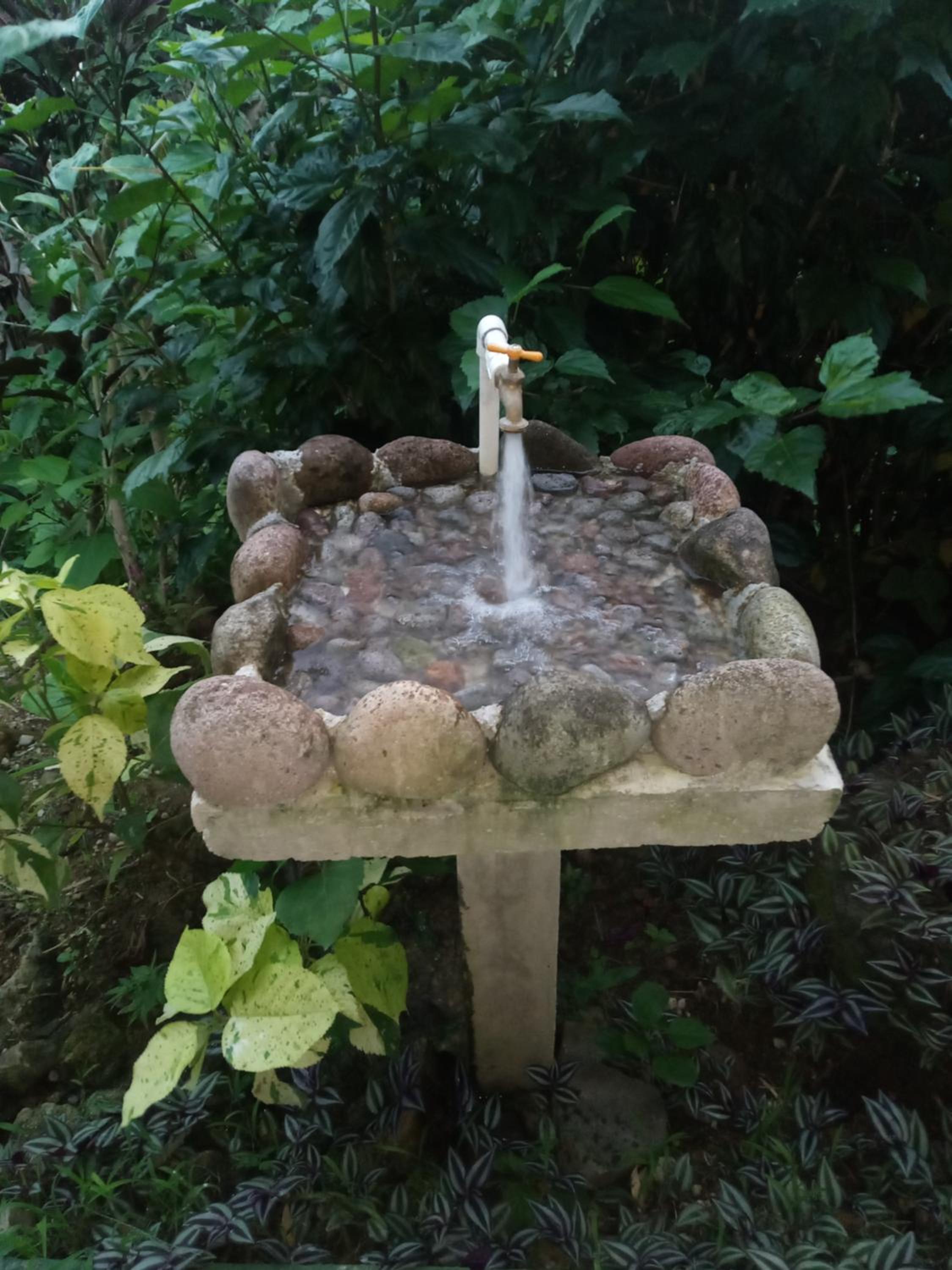 Berkey's Jungle Paradise Resort