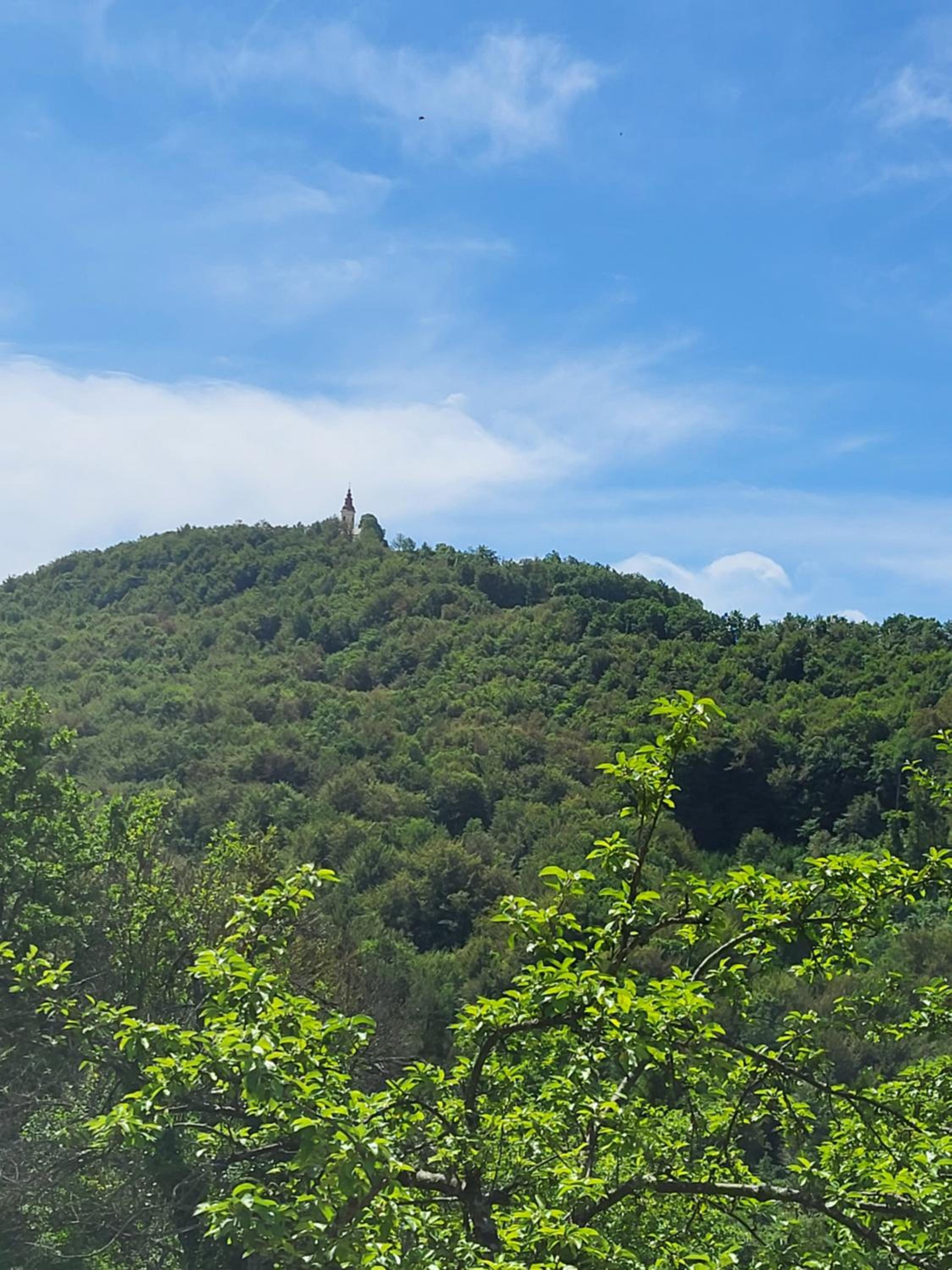 Babičina hišica