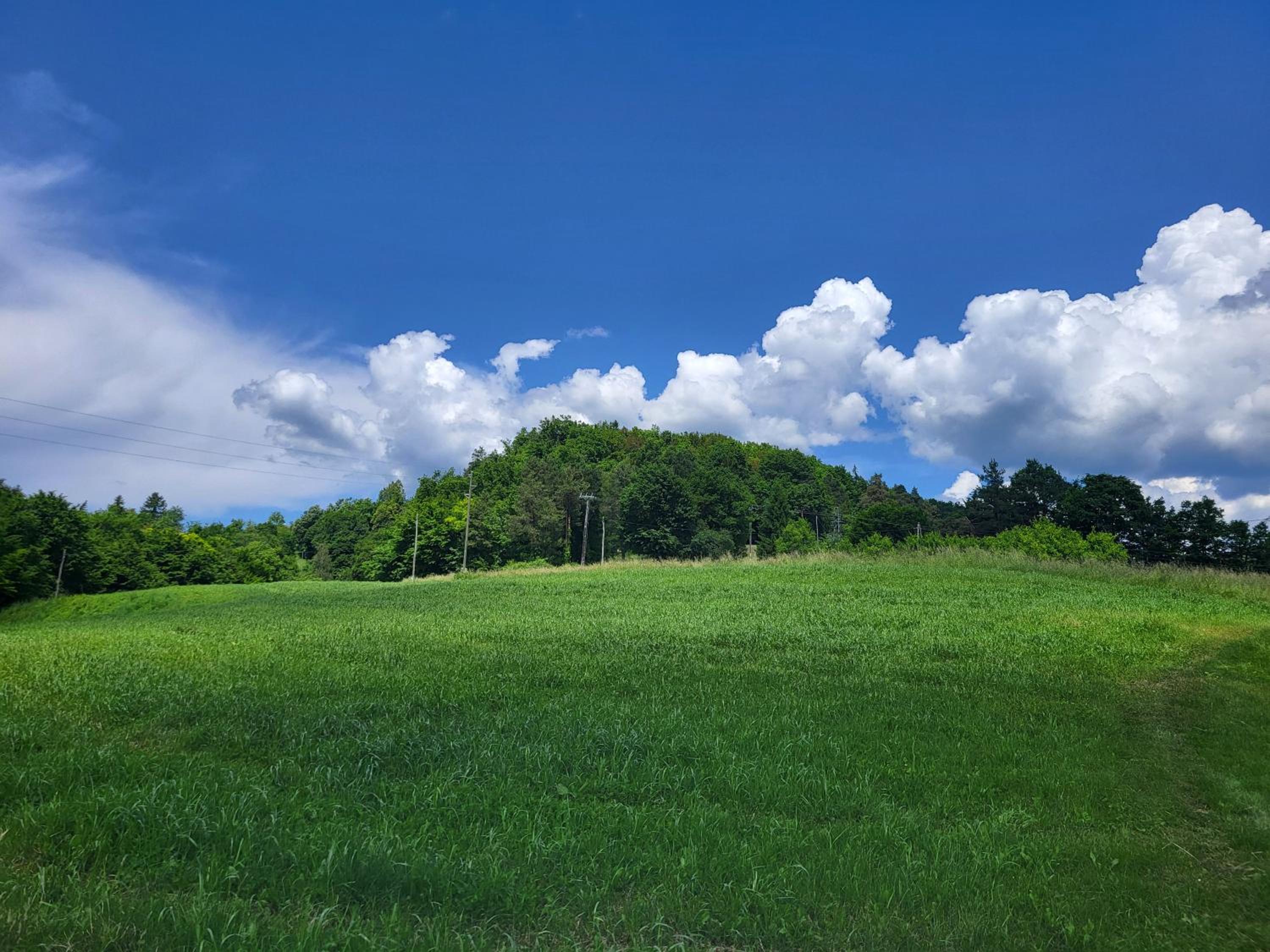 Babičina hišica