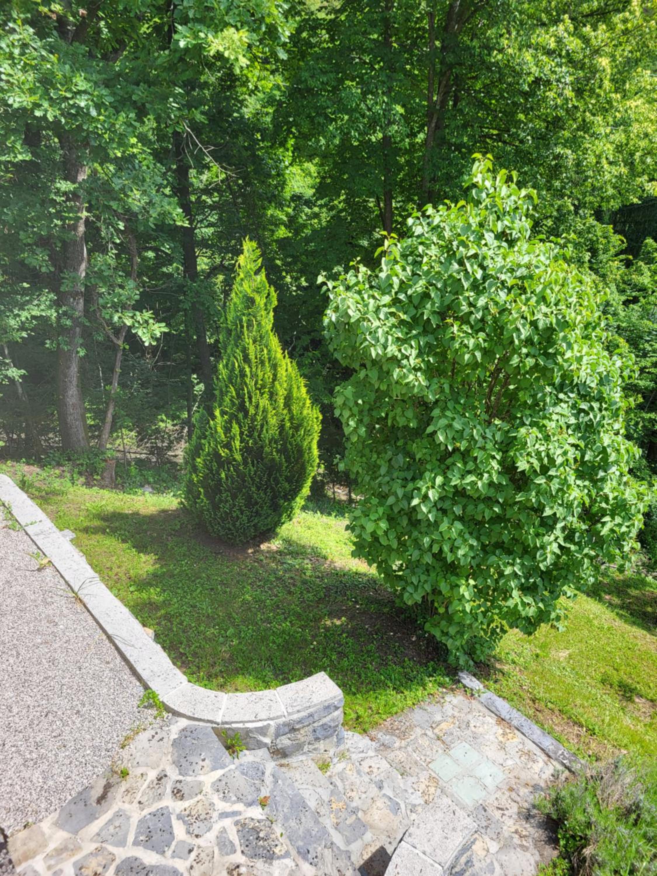 Babičina hišica
