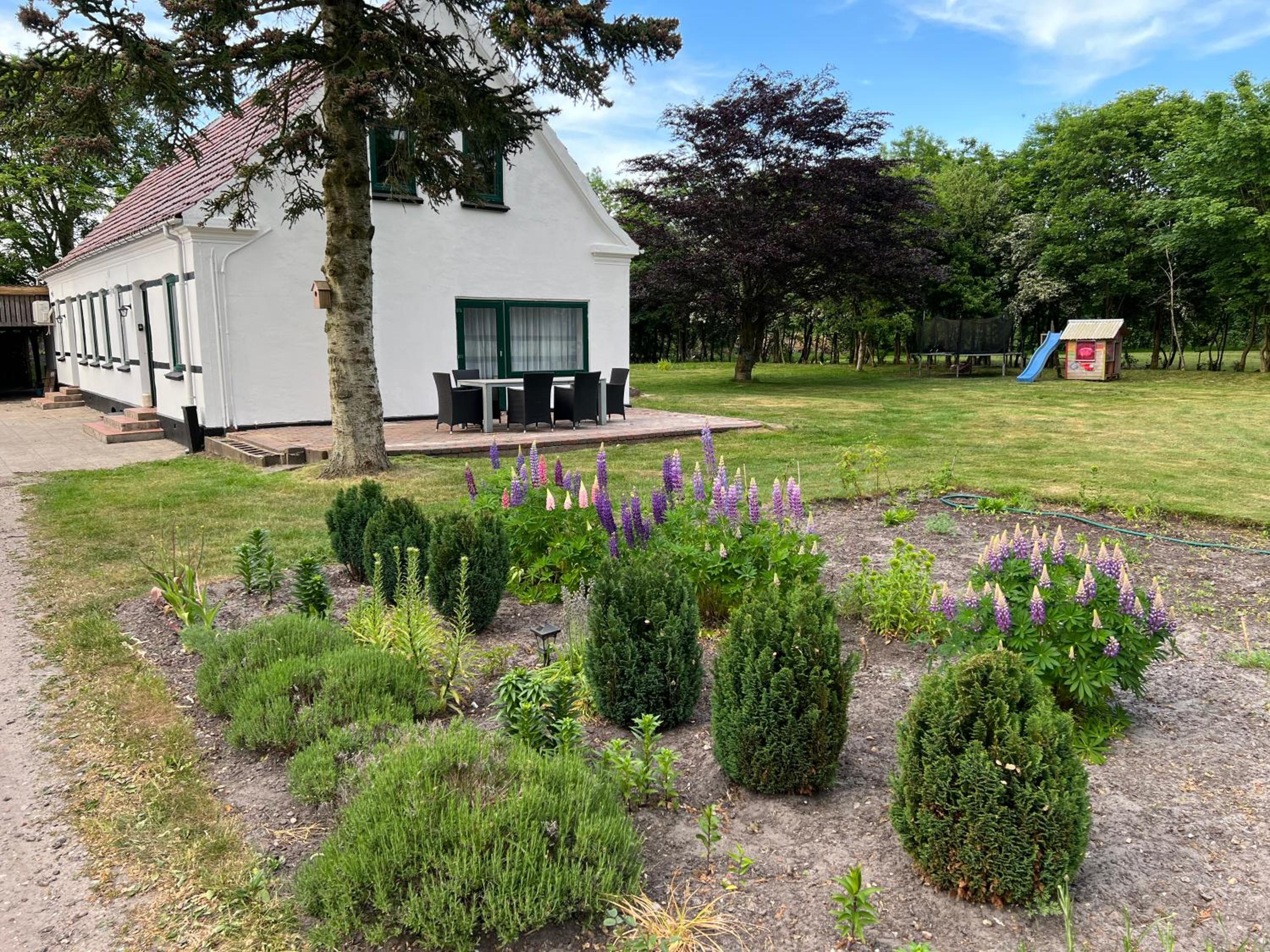 luxury apartment Curchi 2