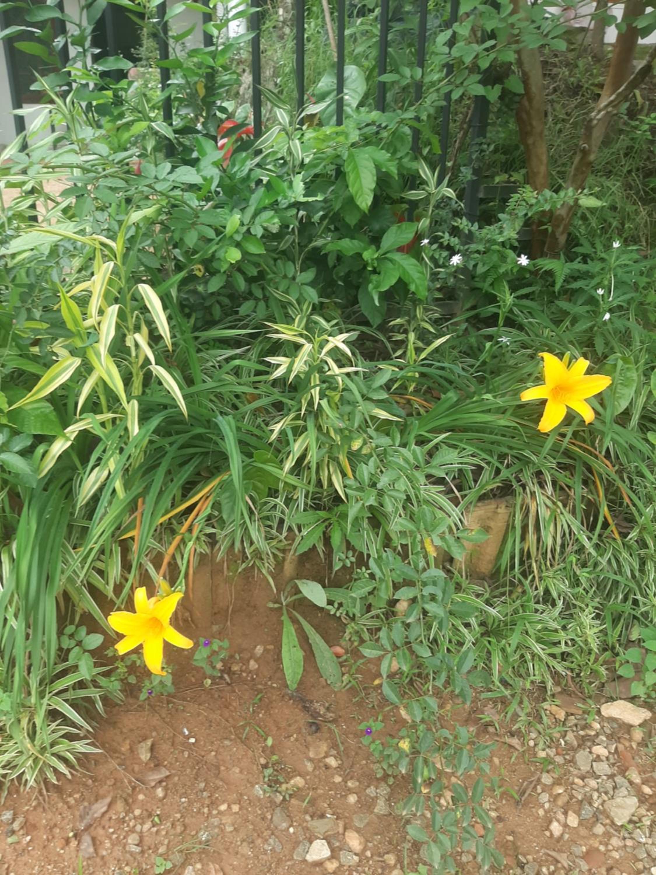 Welcome Homestay view 2