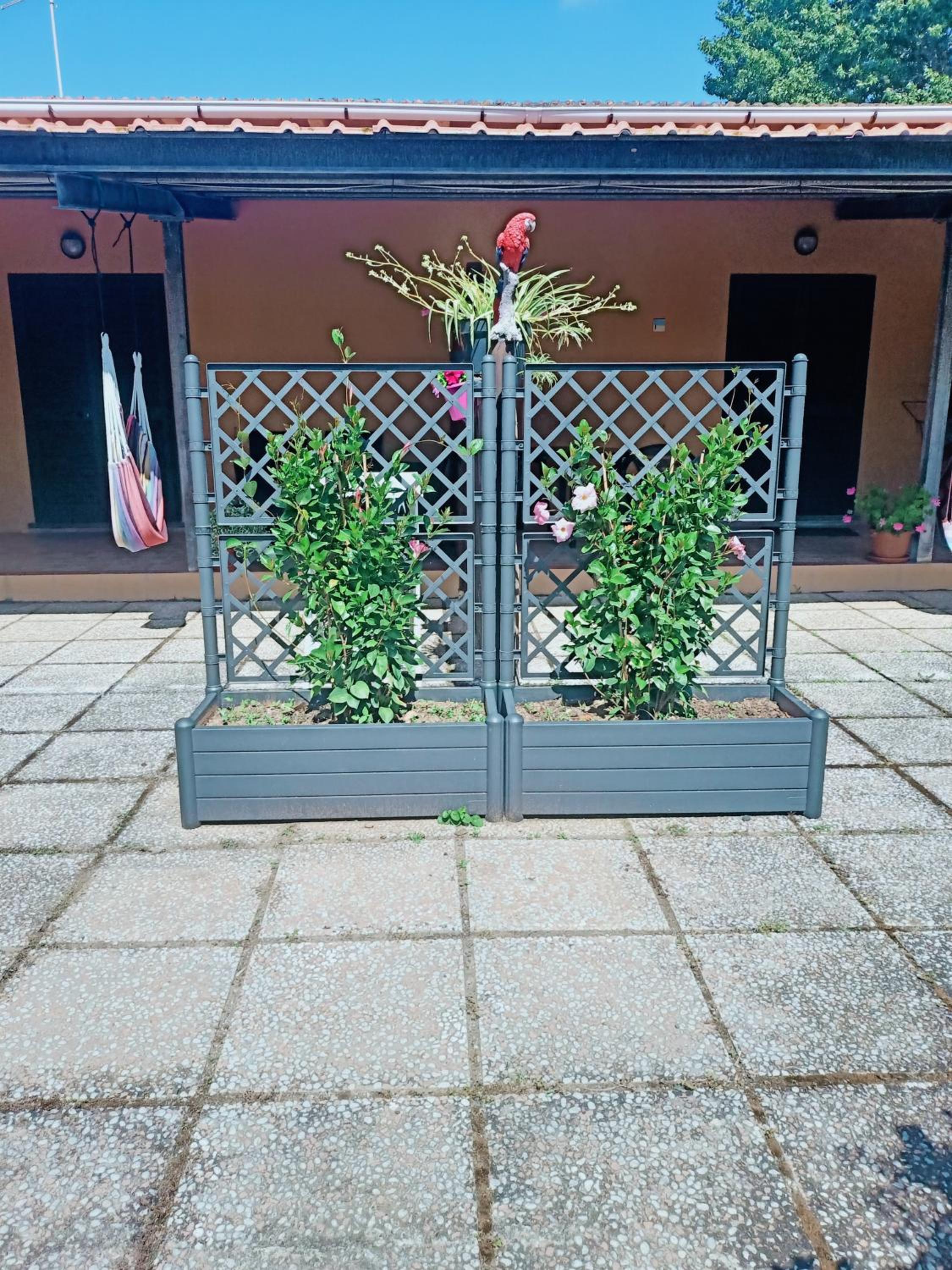 Agriturismo Il Cipresso