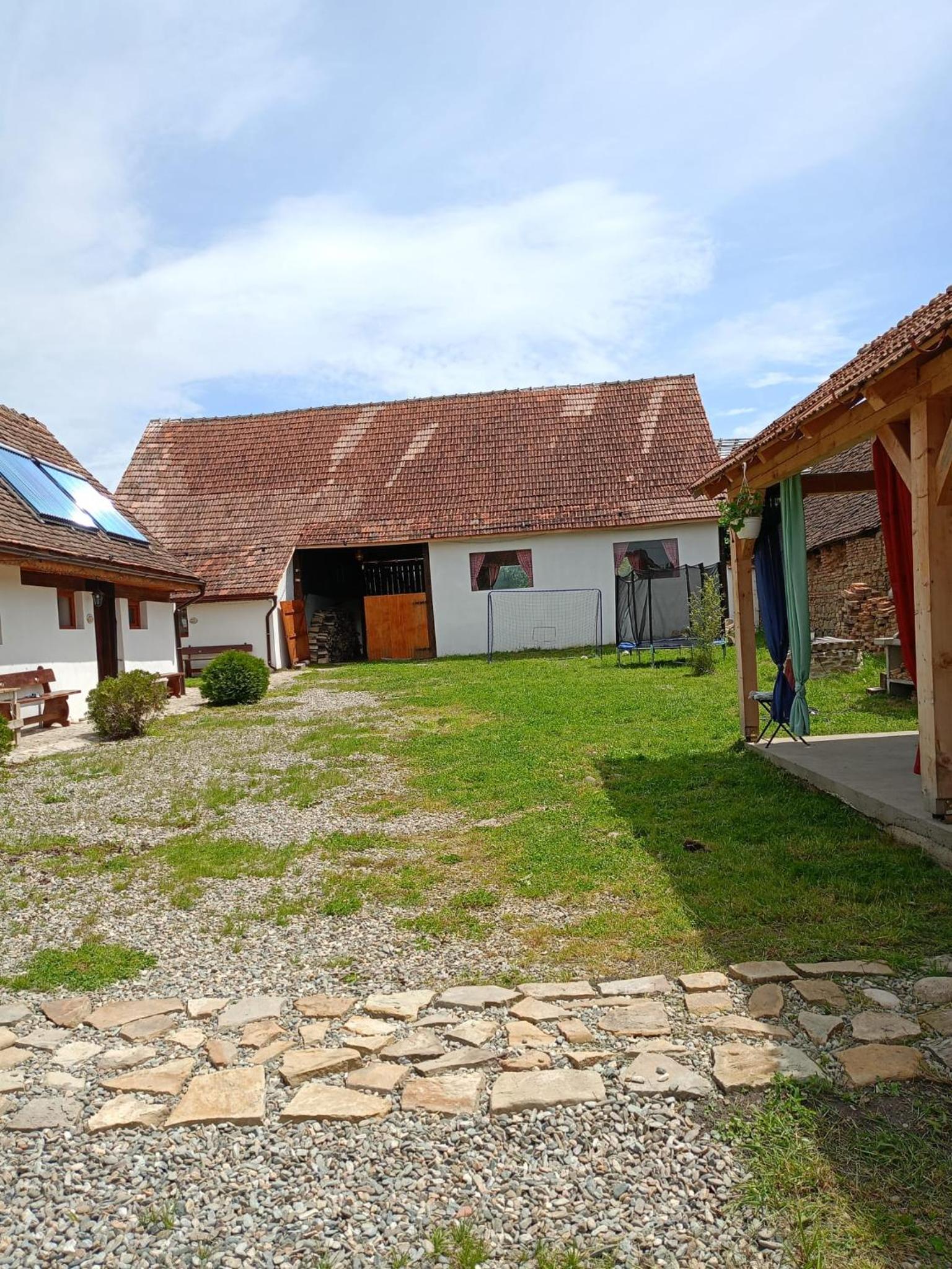 Photo 41