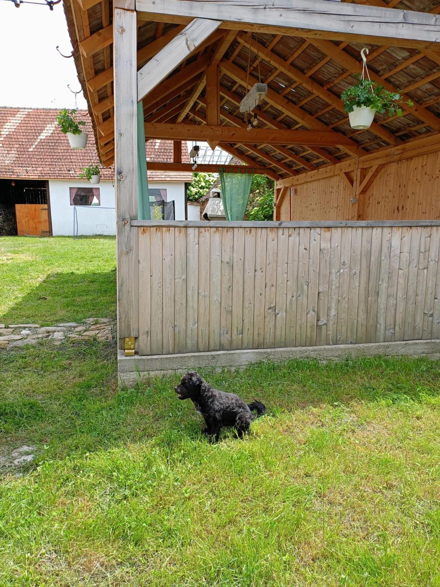 Photo 47