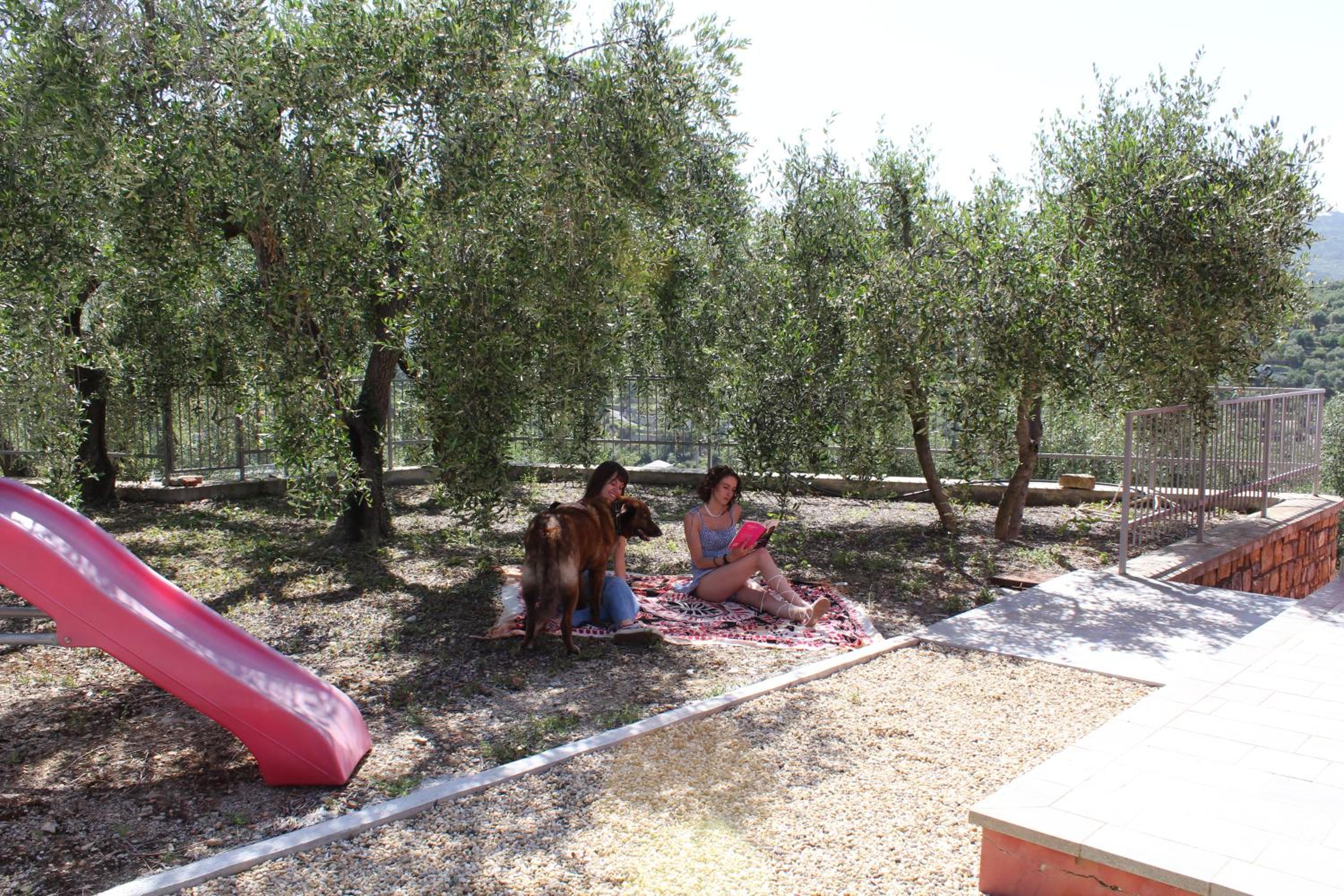 Photo 44
