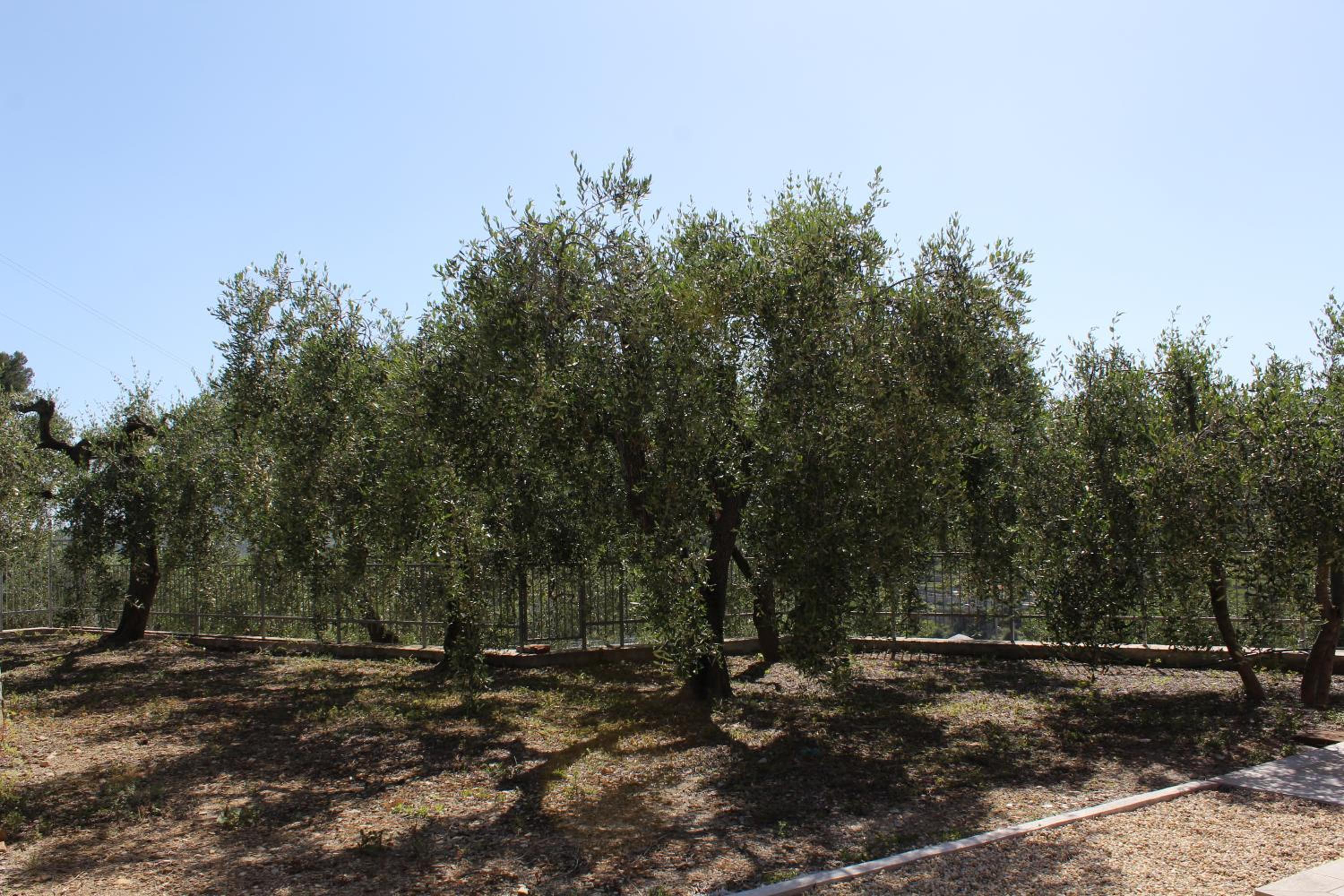 Photo 40