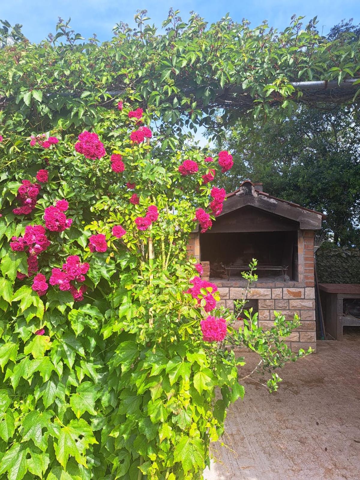 Apartman Melita