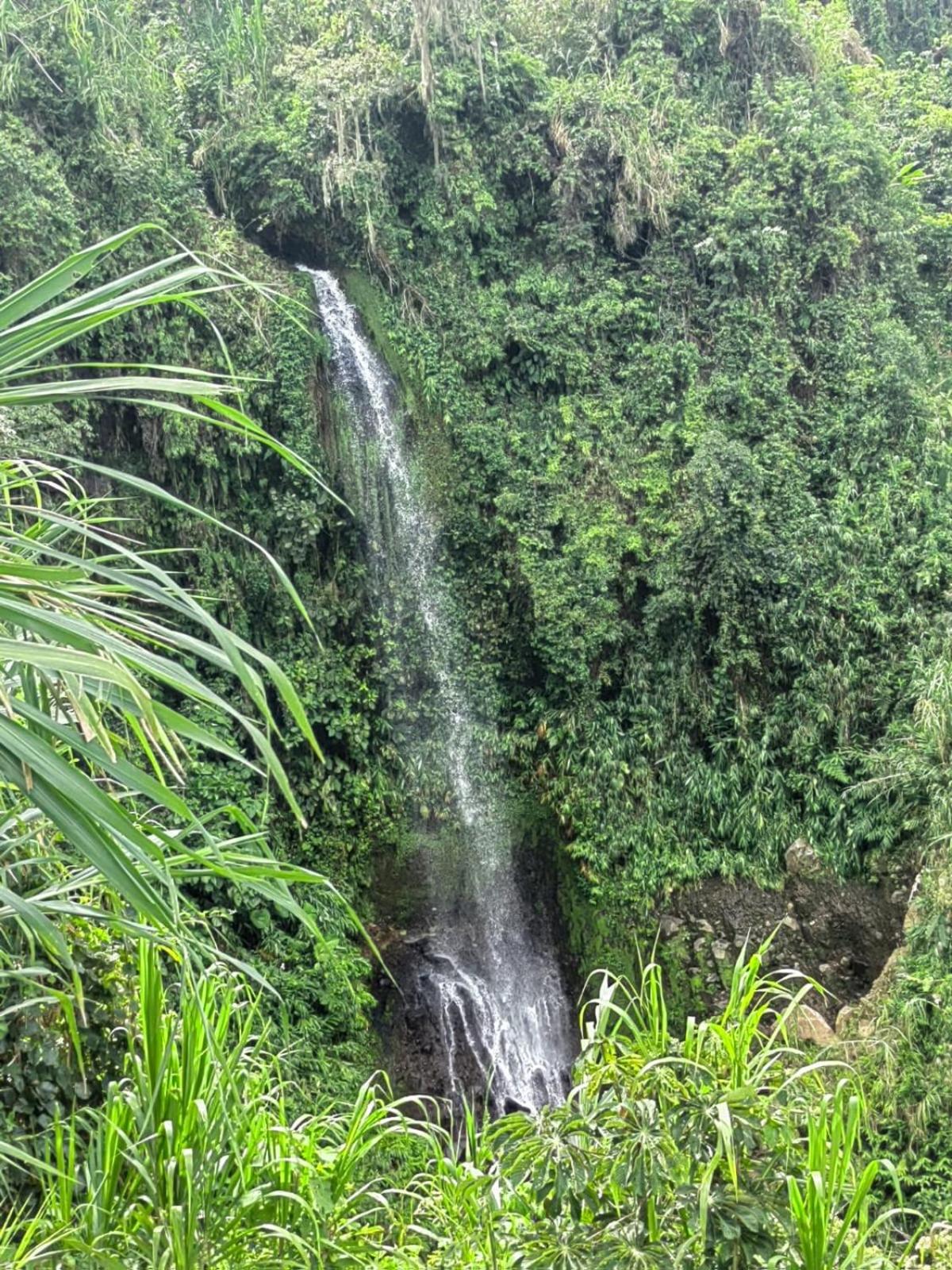 Glamping La Mardo