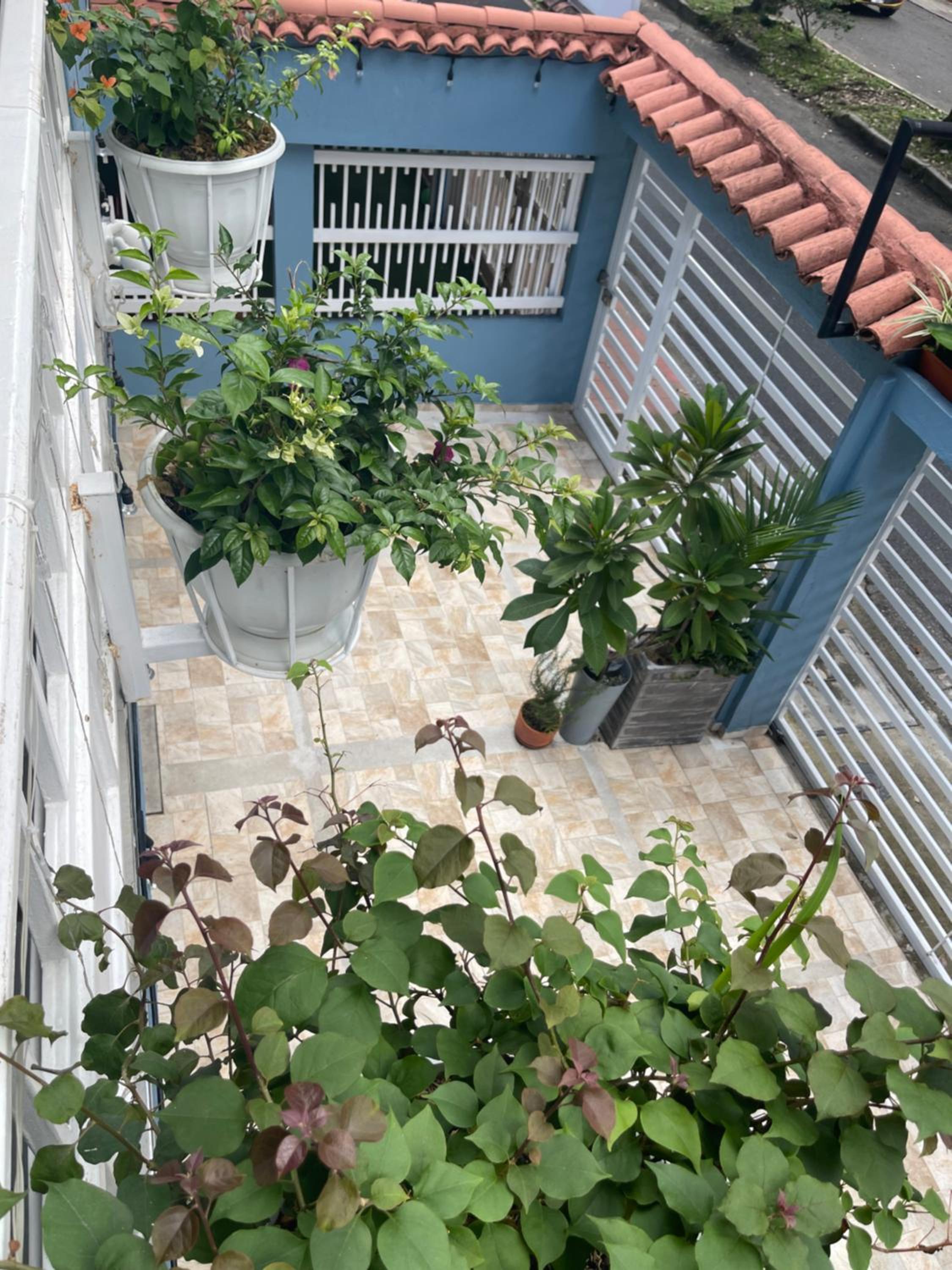 Cal Bed & Breakfast Ibague