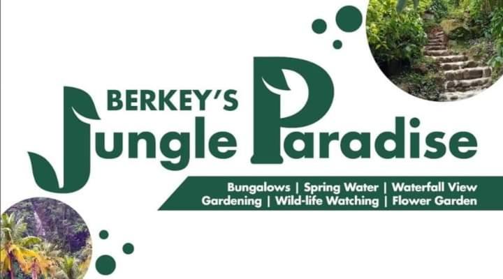 Berkey's Jungle Paradise Resort