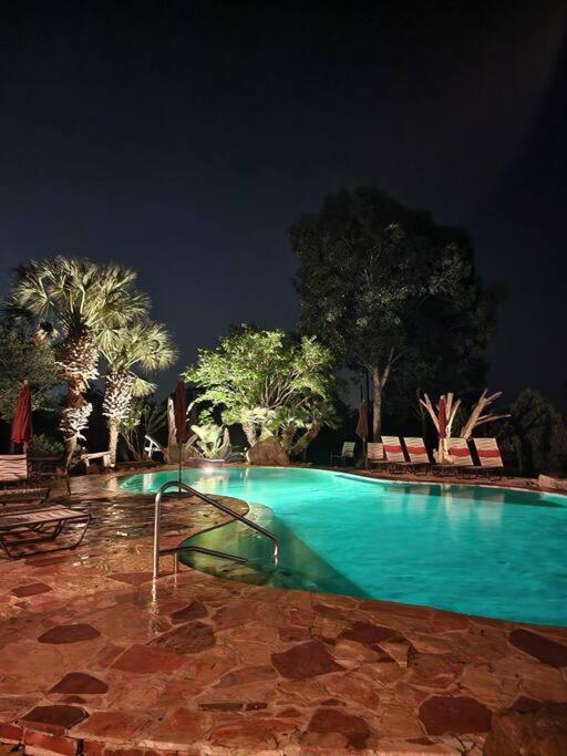 The Big HAUS! - Texas Oasis view 5