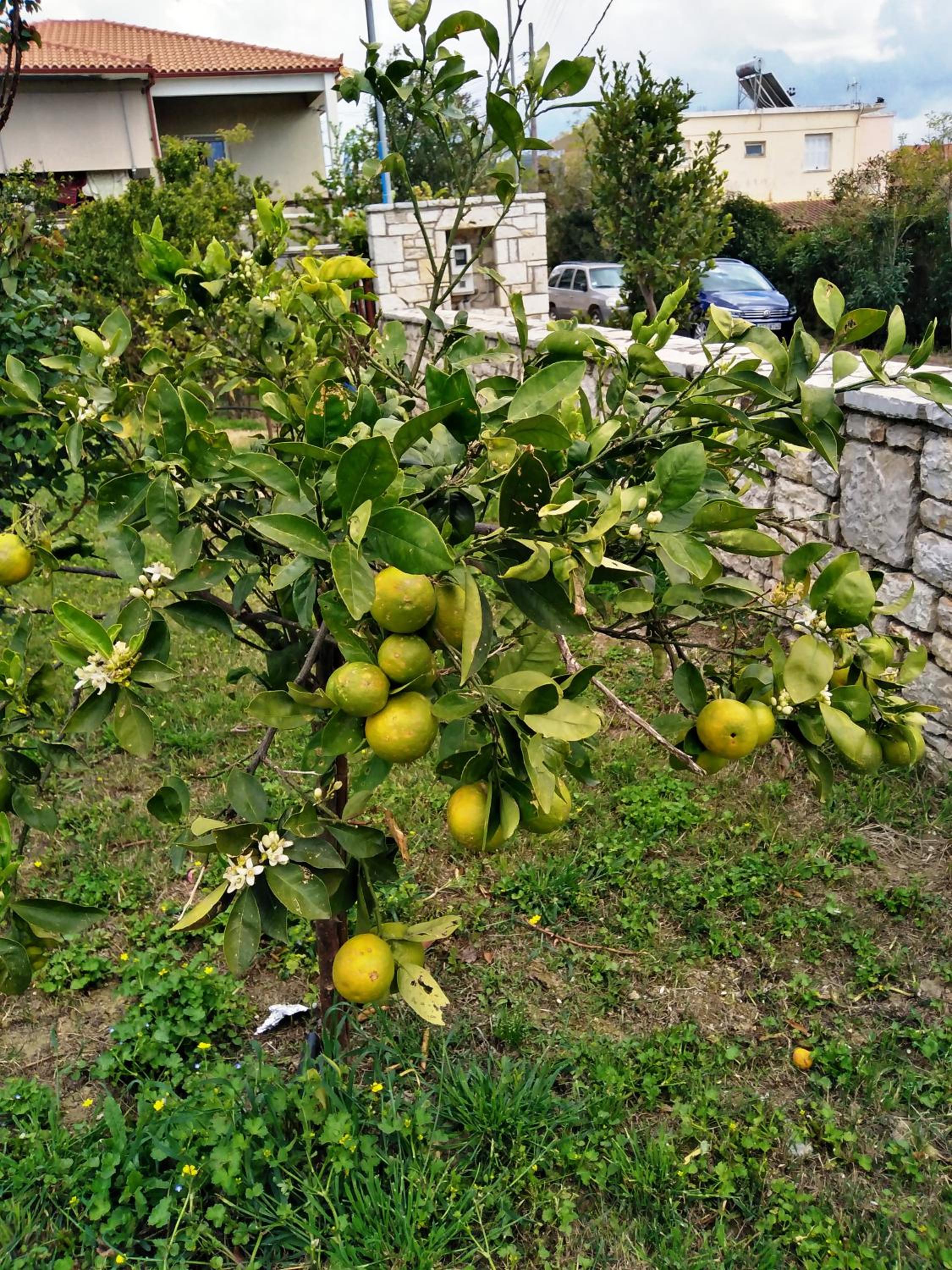 Photo 23