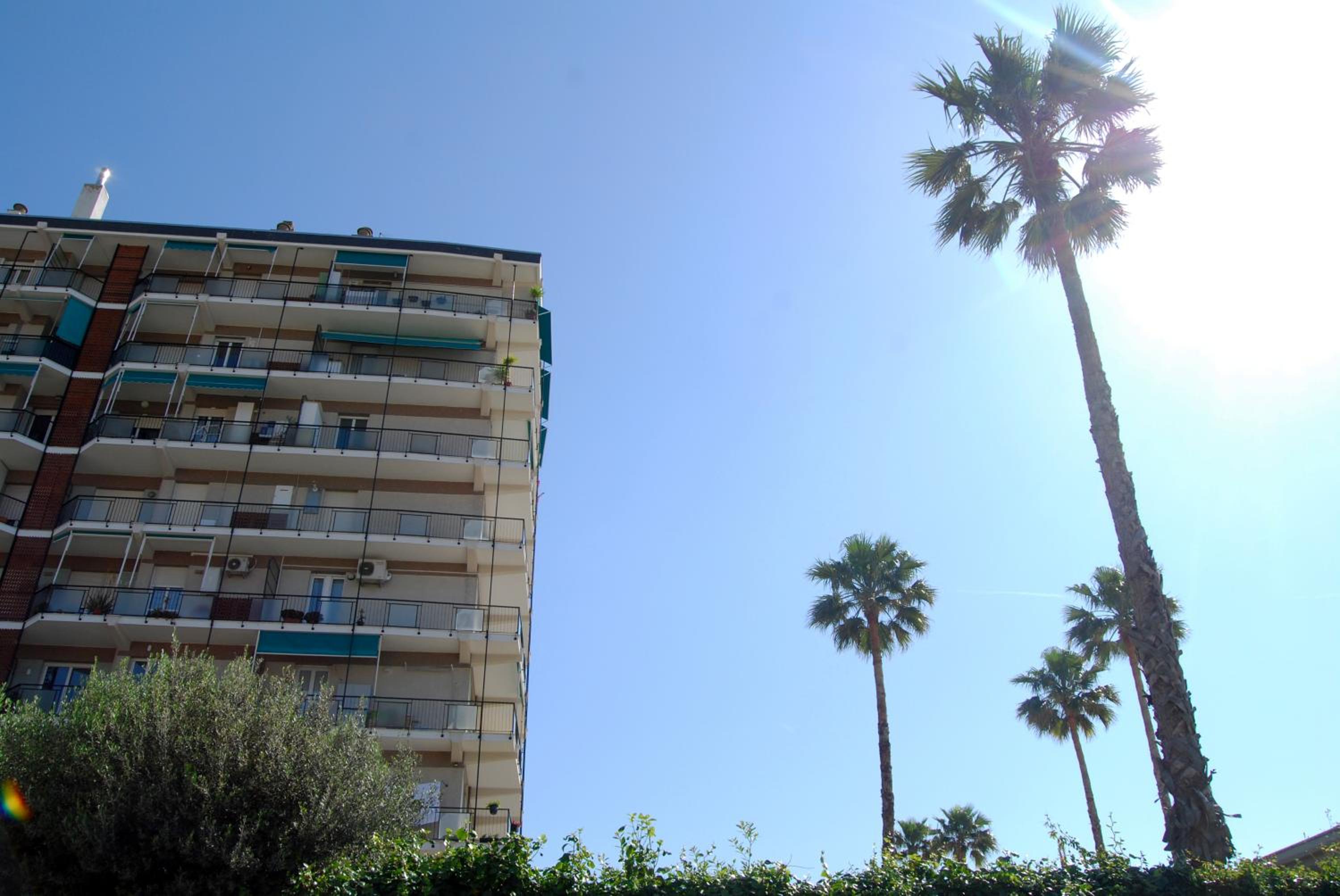 La Dama sul Mare photo 3