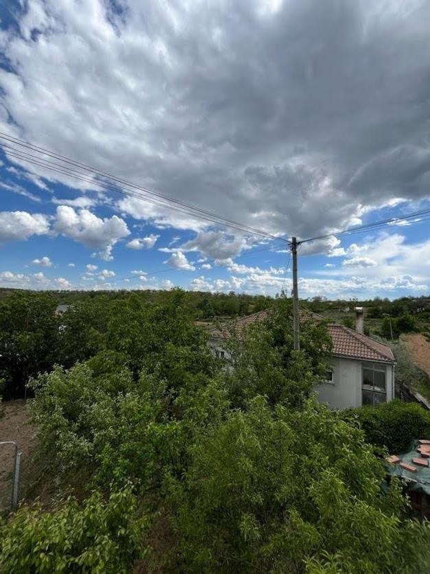 Photo 24