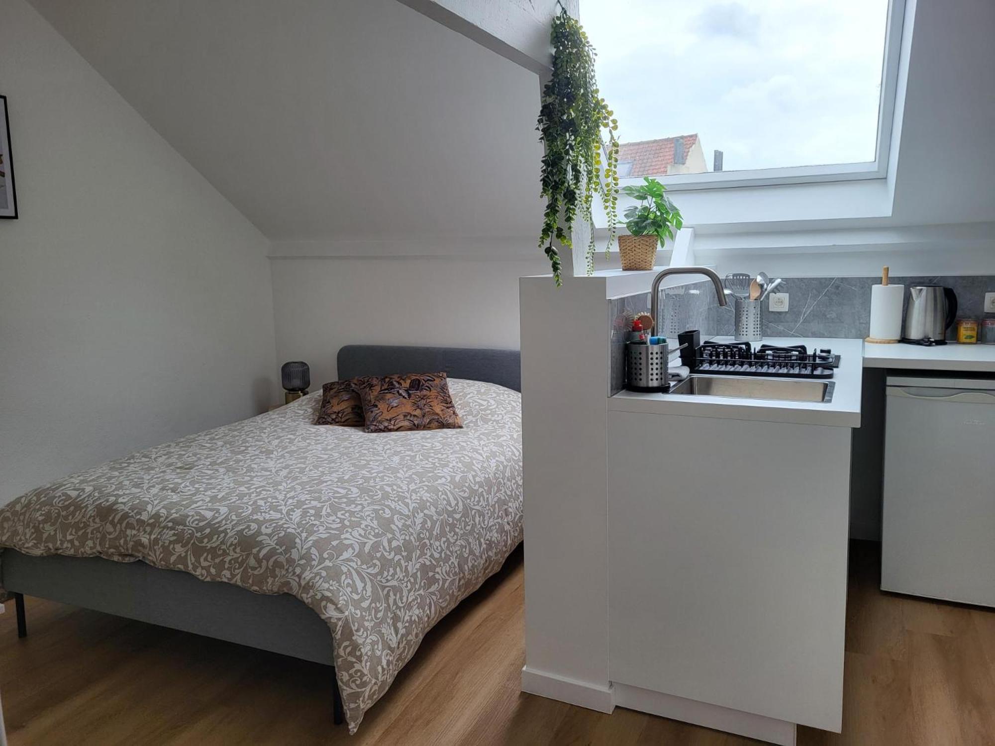 Studios idéalement situés - EU