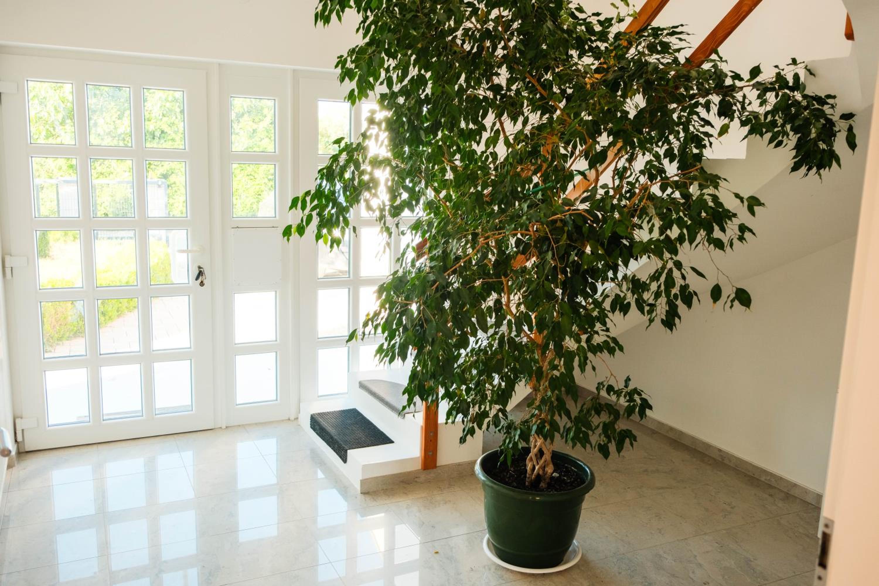 Photo 26
