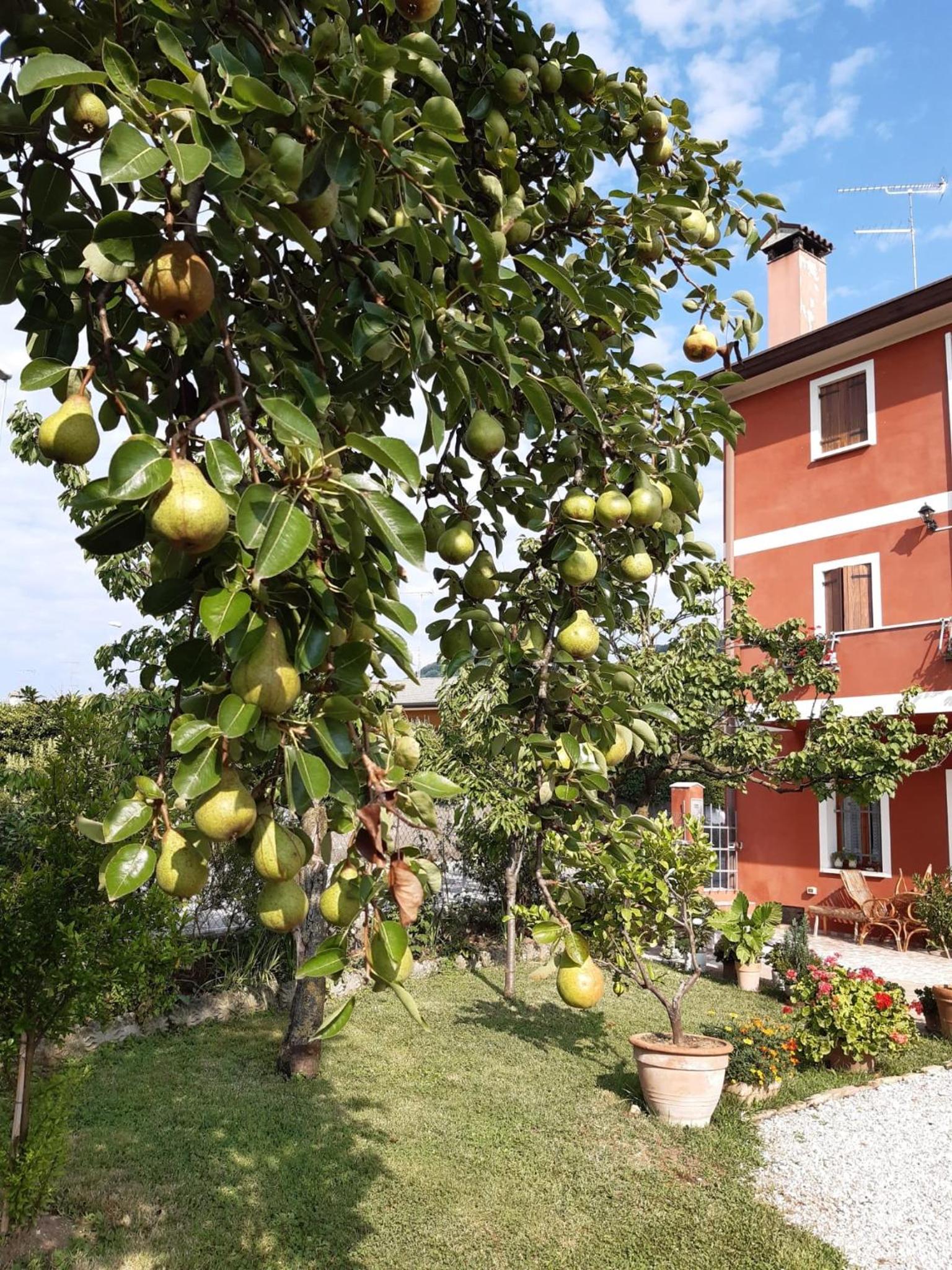 B&B Casa del Conte view 4