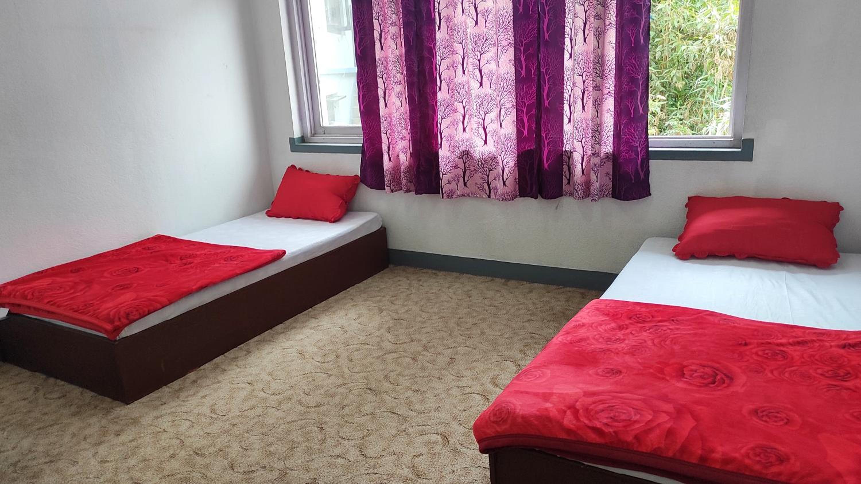 Budget Backpackers Hotel view 2
