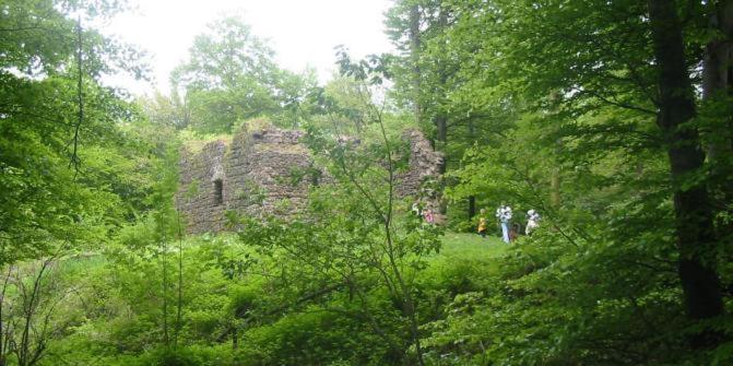 Ferienwohnungen Am Eifelsteig