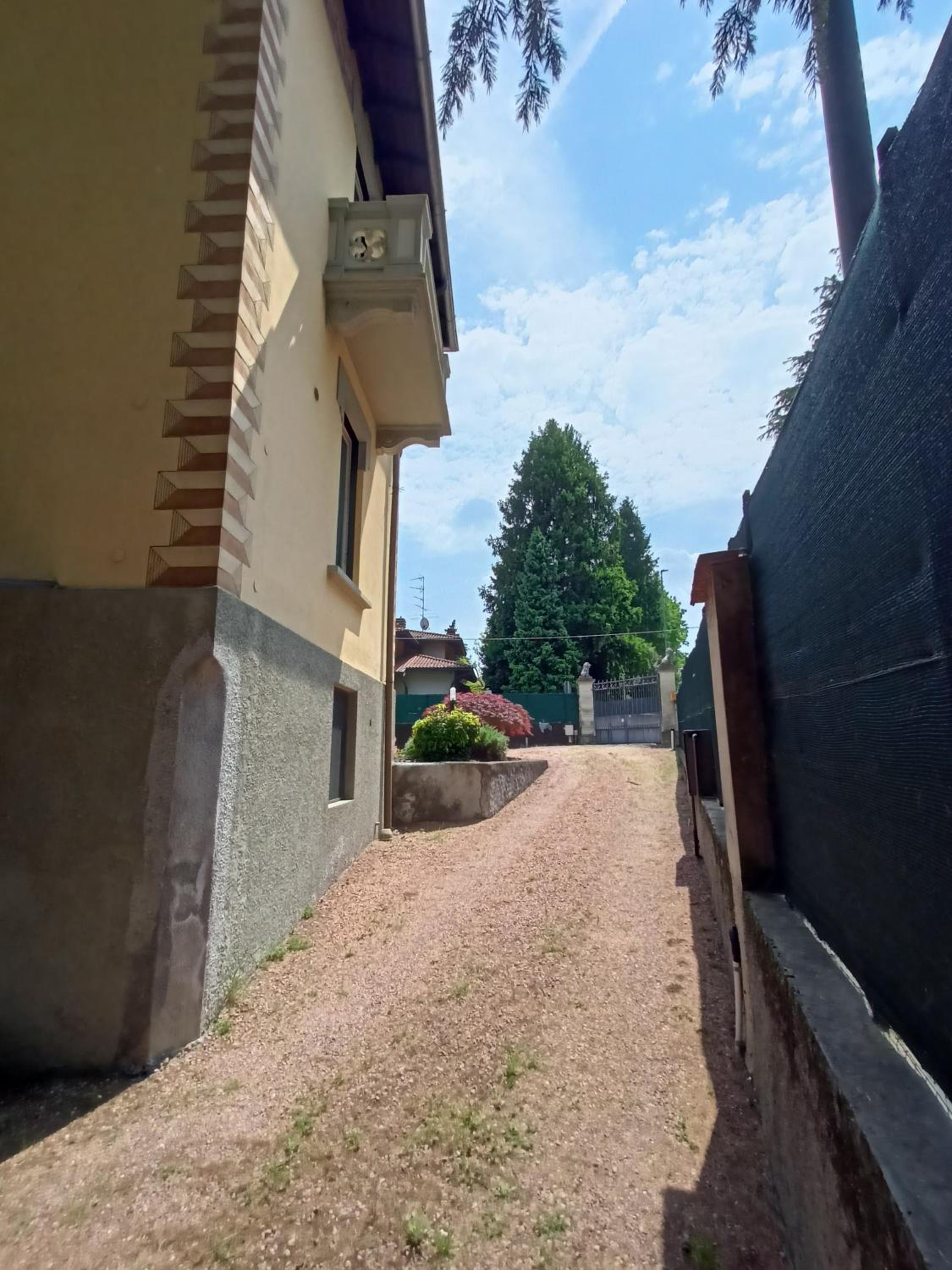 Photo 43
