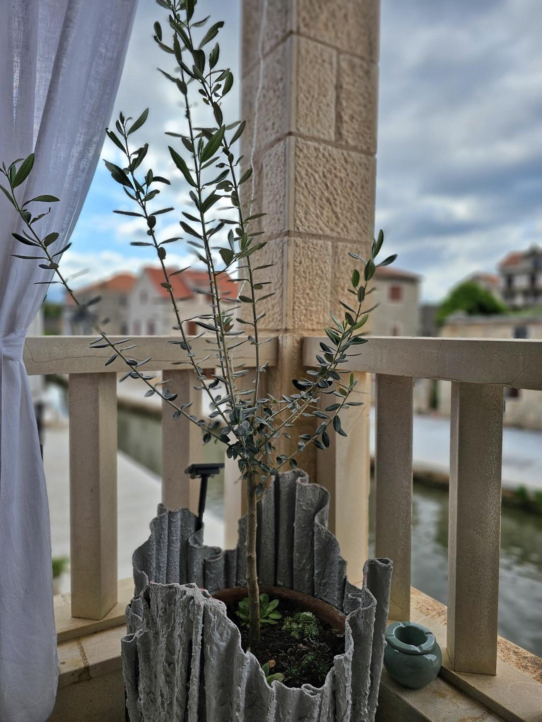 Photo 45