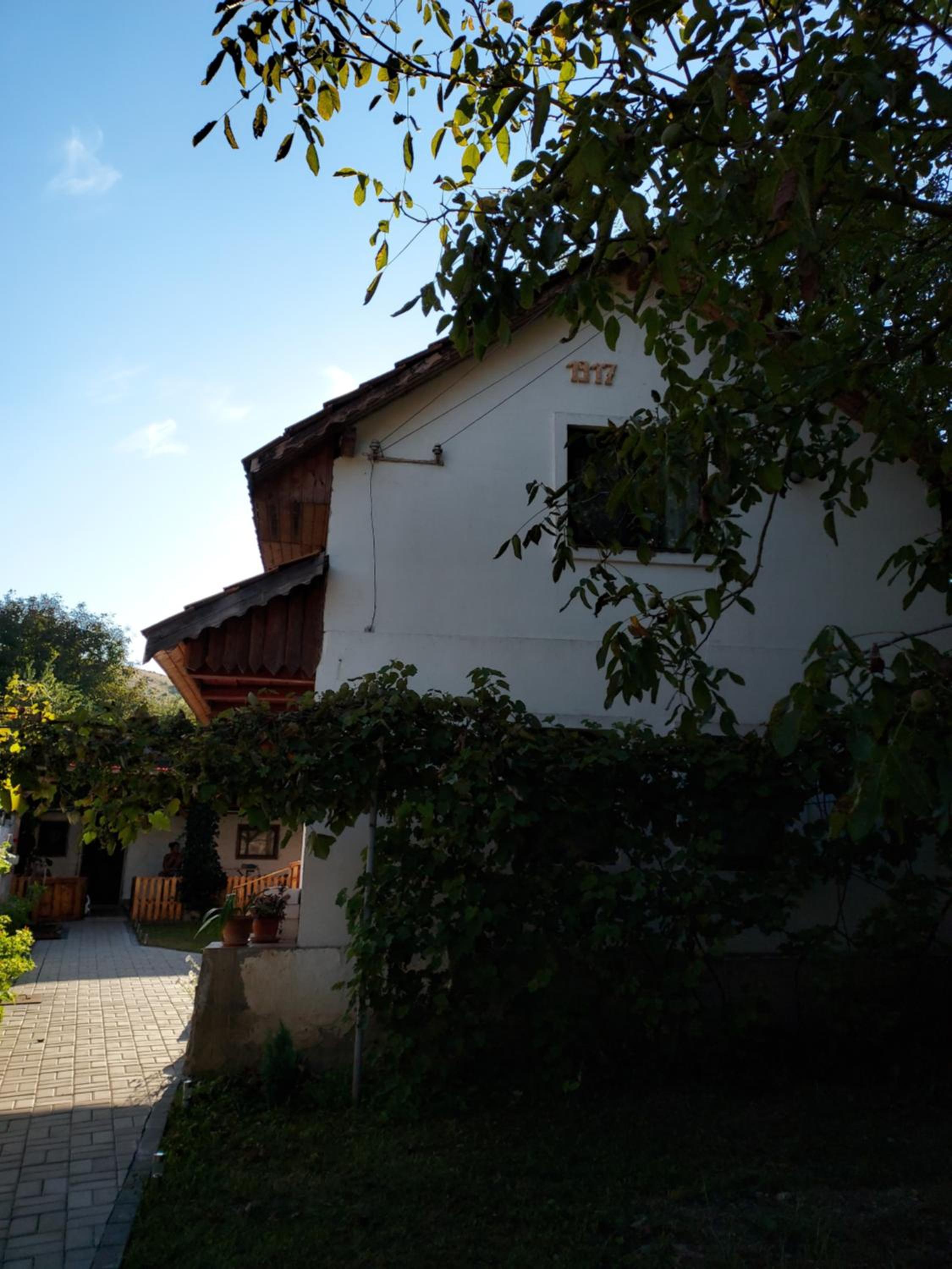 Case de închiriat Corina view 5