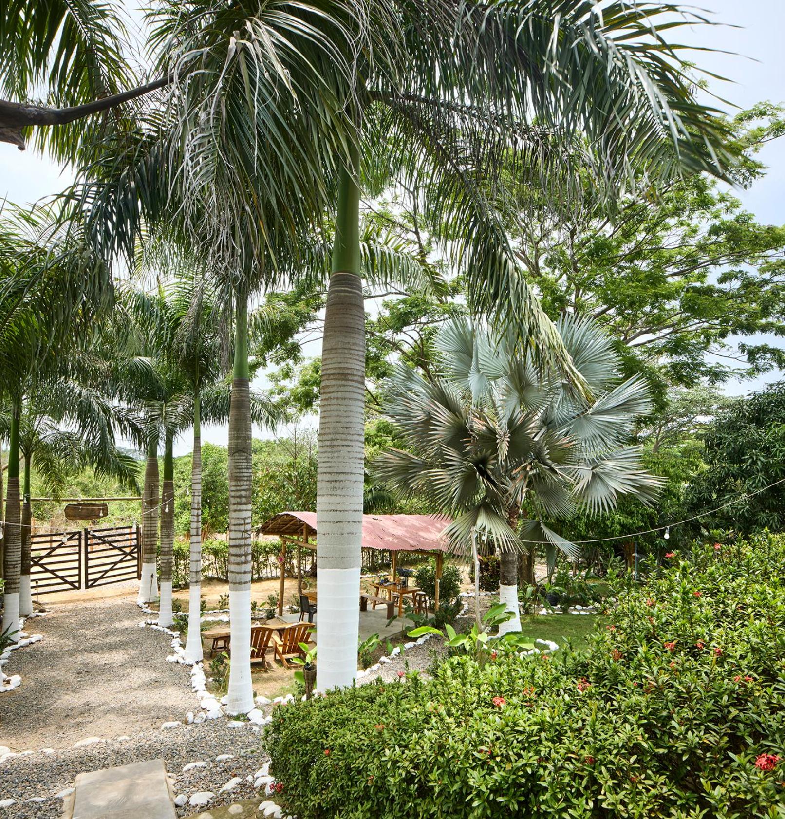 Bungalows Casa Rio Palomino